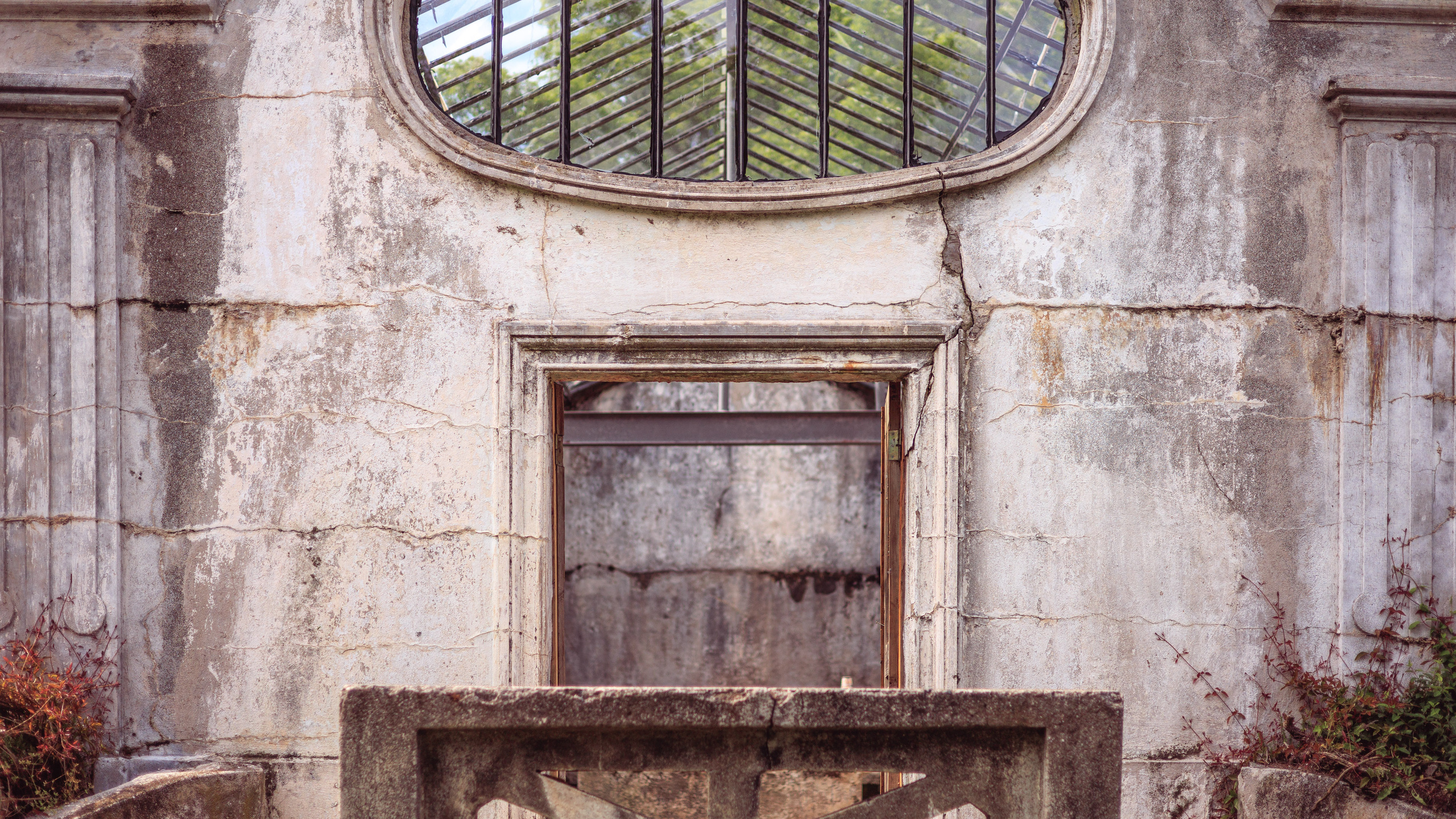 Ботсад. Сайт о фотографии, Москва