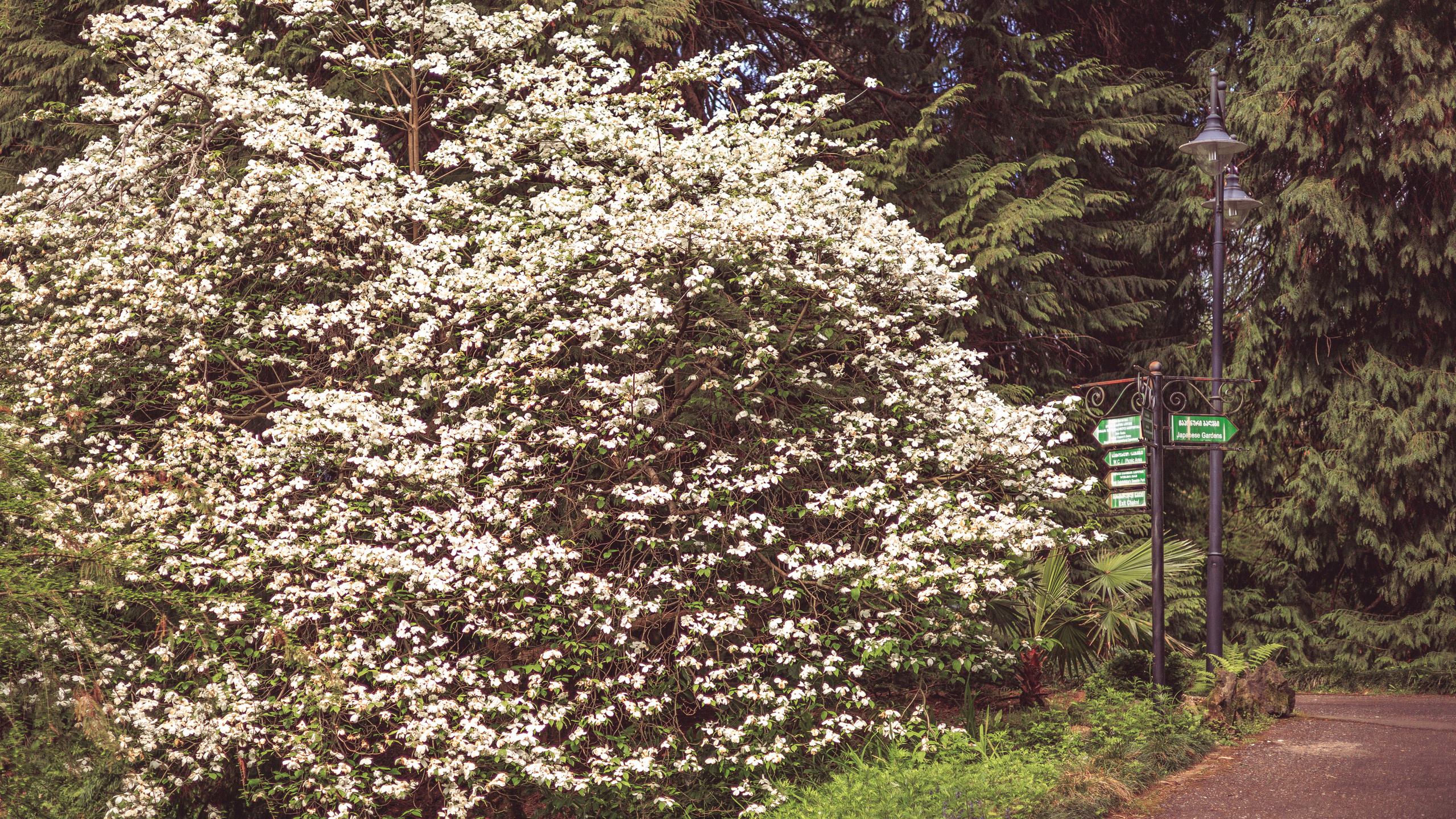 Ботсад. Сайт о фотографии, Москва