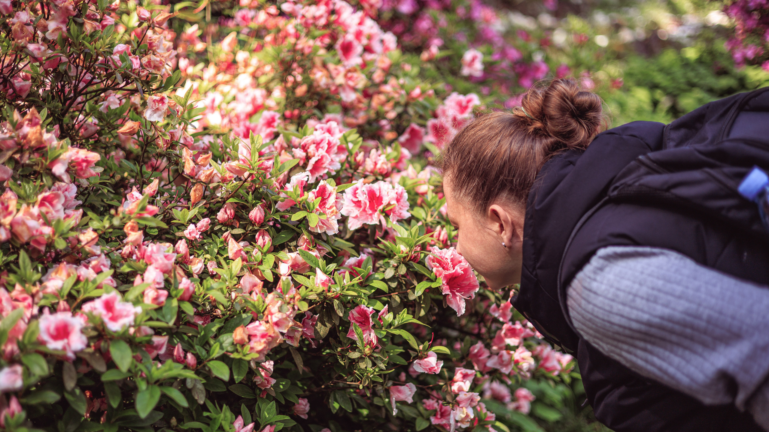 Ботсад. Сайт о фотографии, Москва