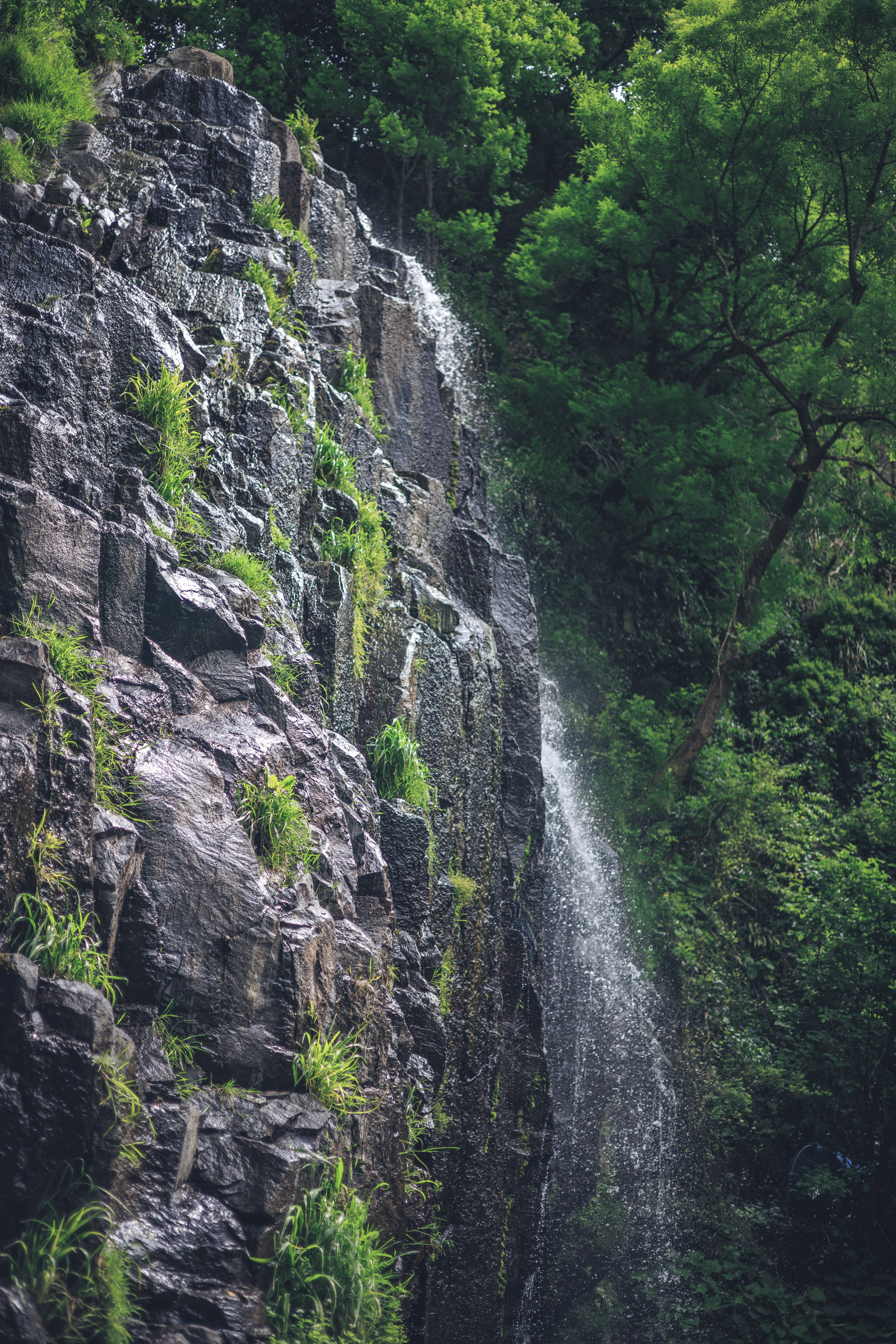 Прогулка. Сайт о фотографии, Москва