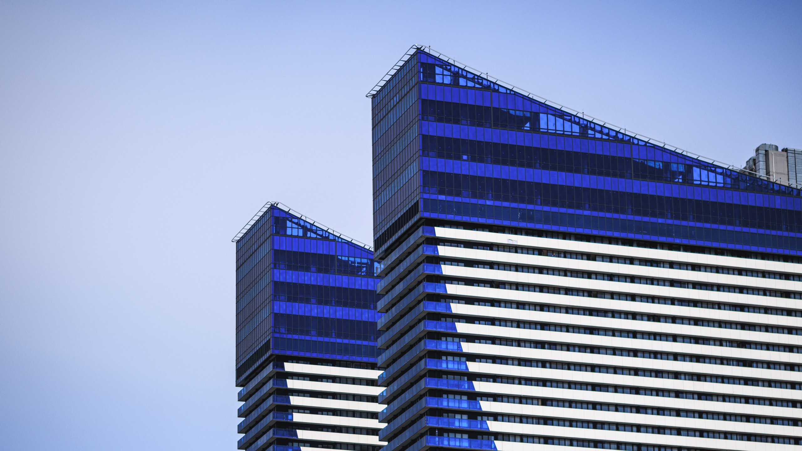 Прогулка. Сайт о фотографии, Москва