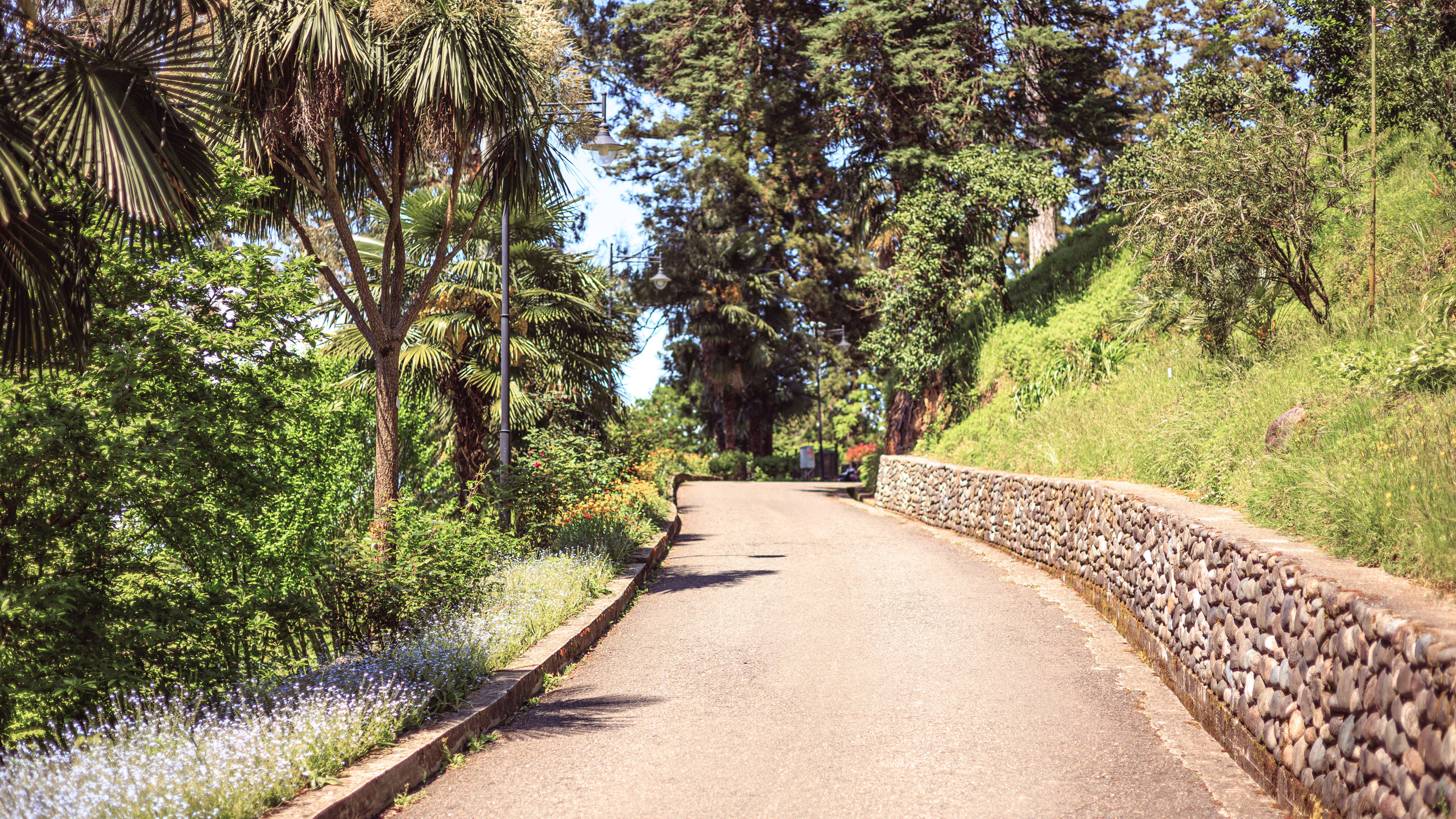 Ботсад. Сайт о фотографии, Москва