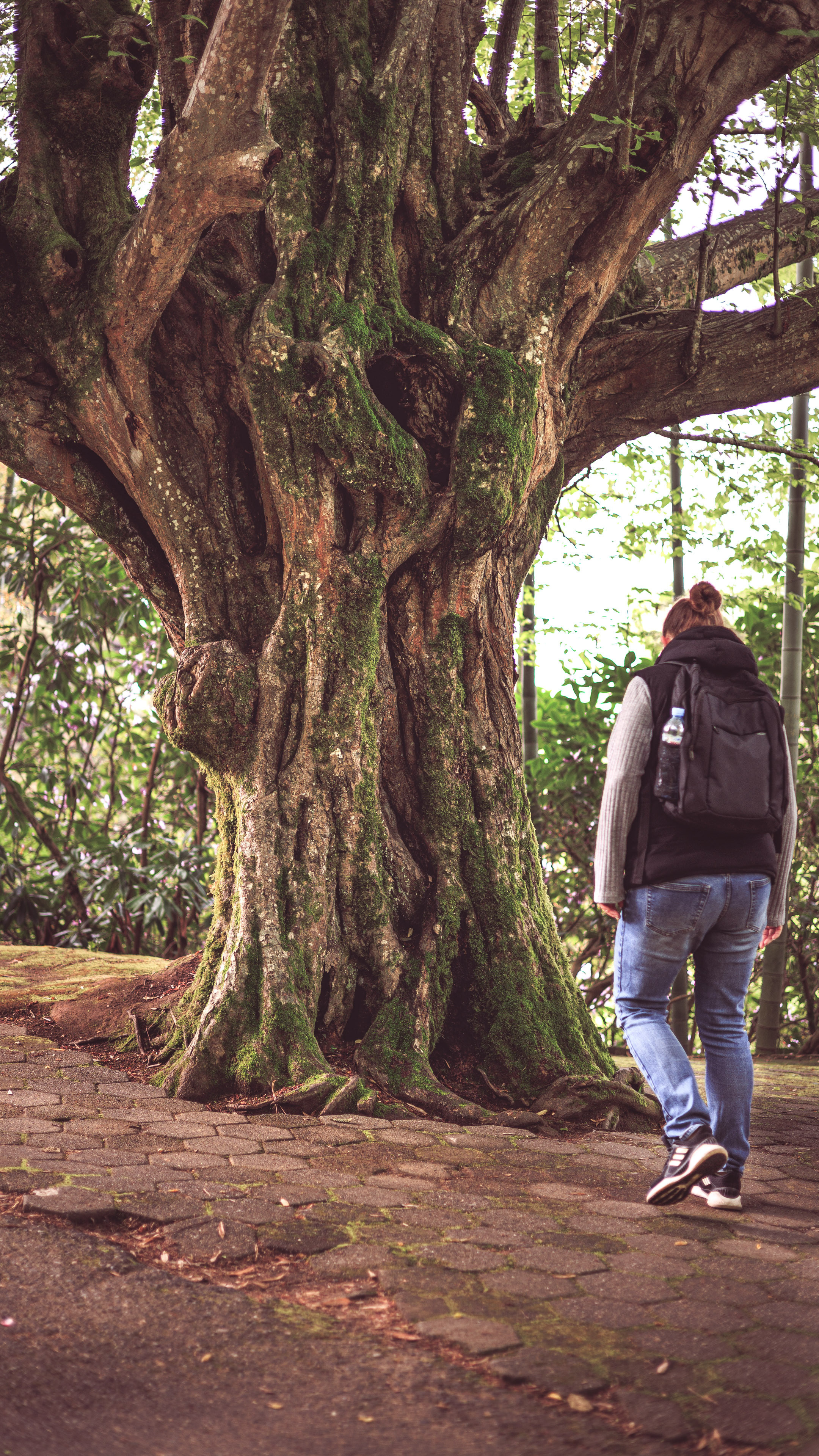 Ботсад. Сайт о фотографии, Москва