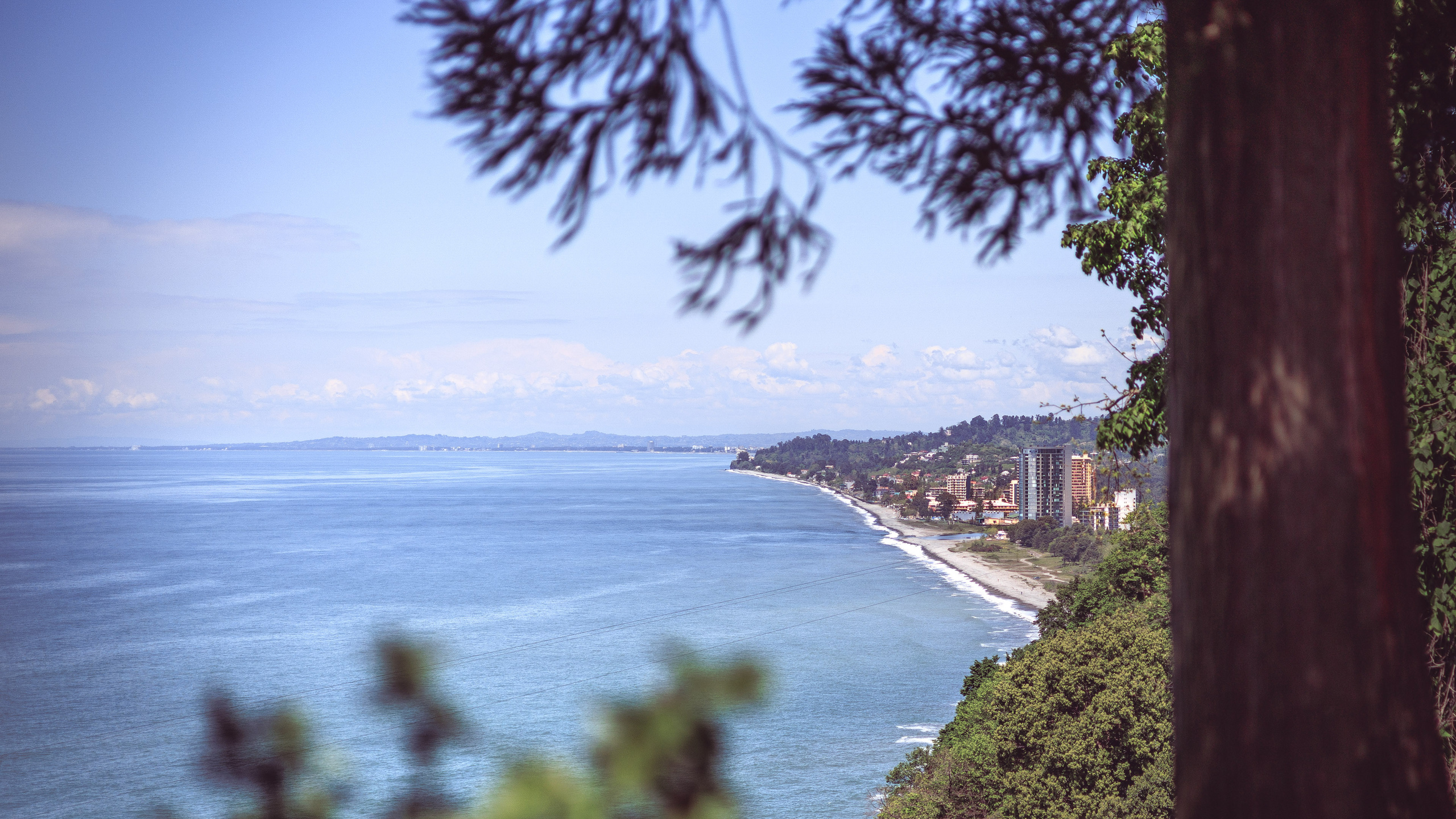 Ботсад. Сайт о фотографии, Москва