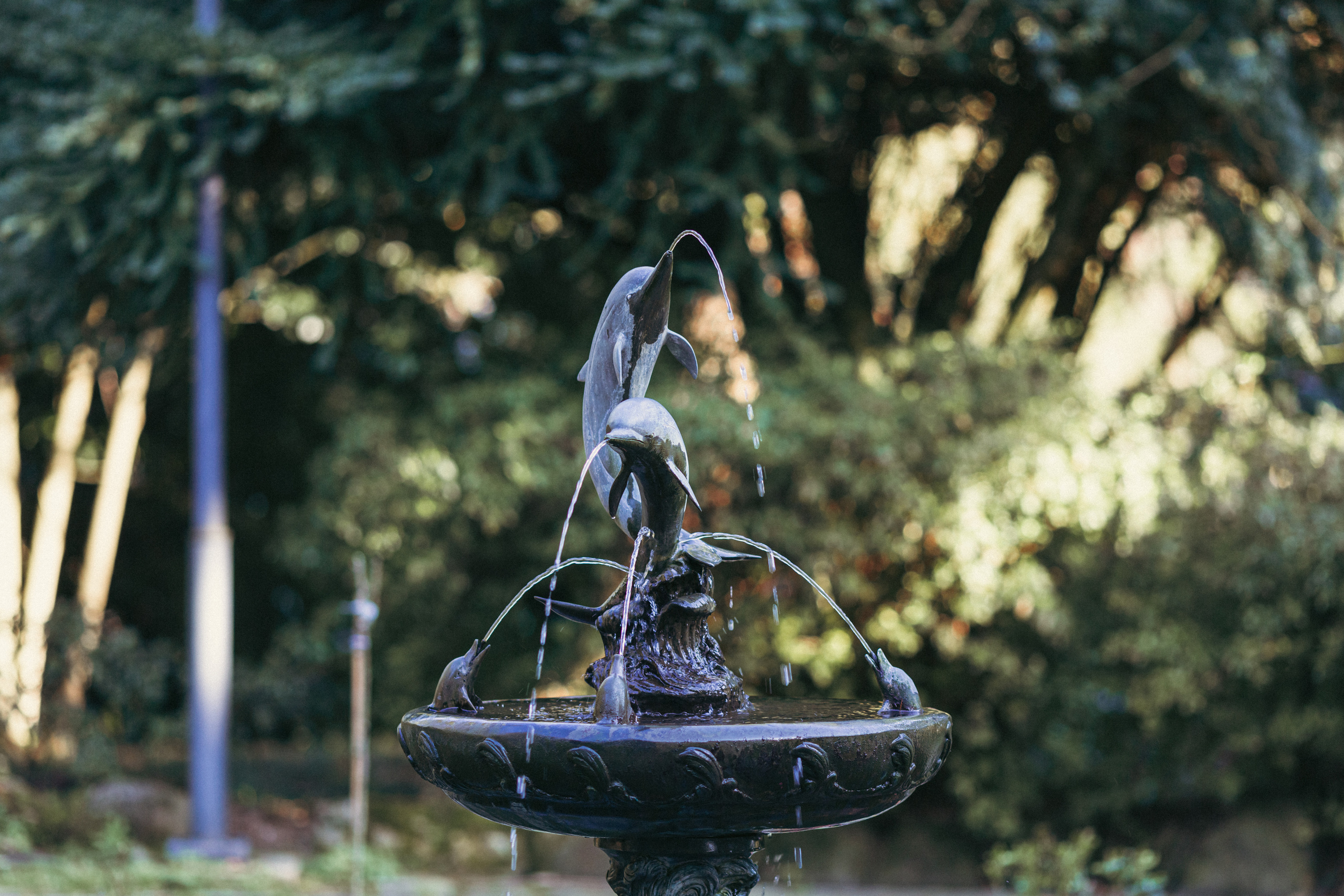 Ботанический сад. Сайт о фотографии, Москва