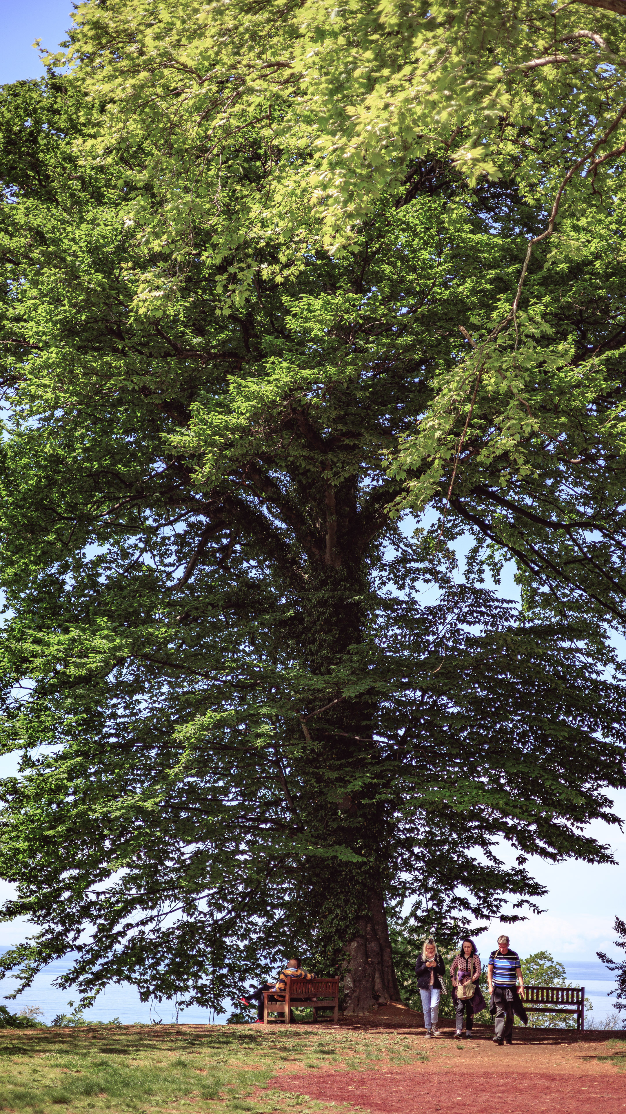 Ботсад. Сайт о фотографии, Москва