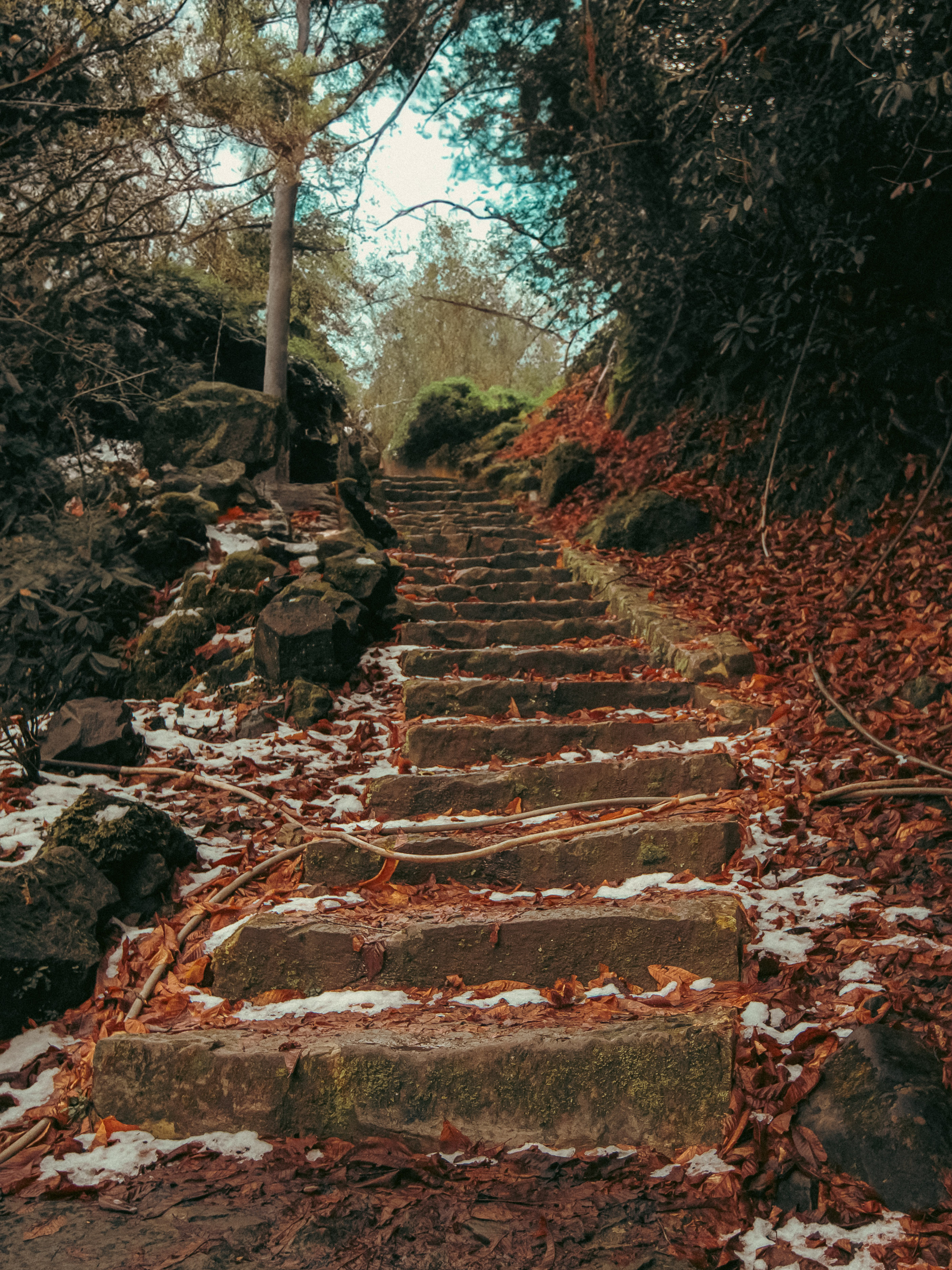 Сайт о фотографии, Москва