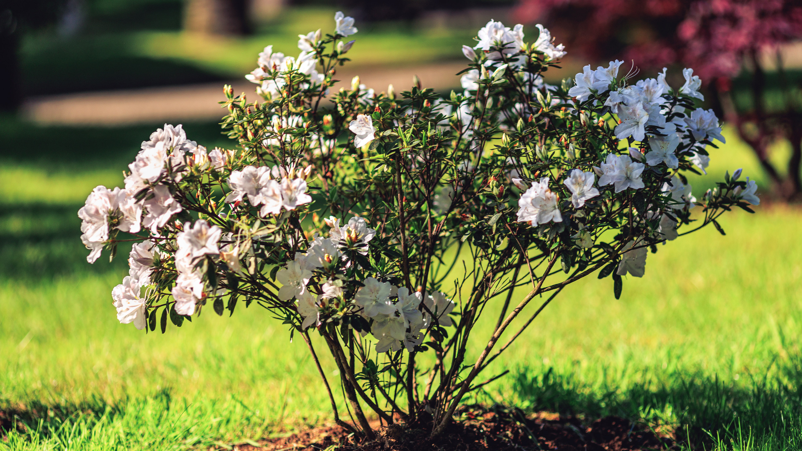Прогулка. Сайт о фотографии, Москва