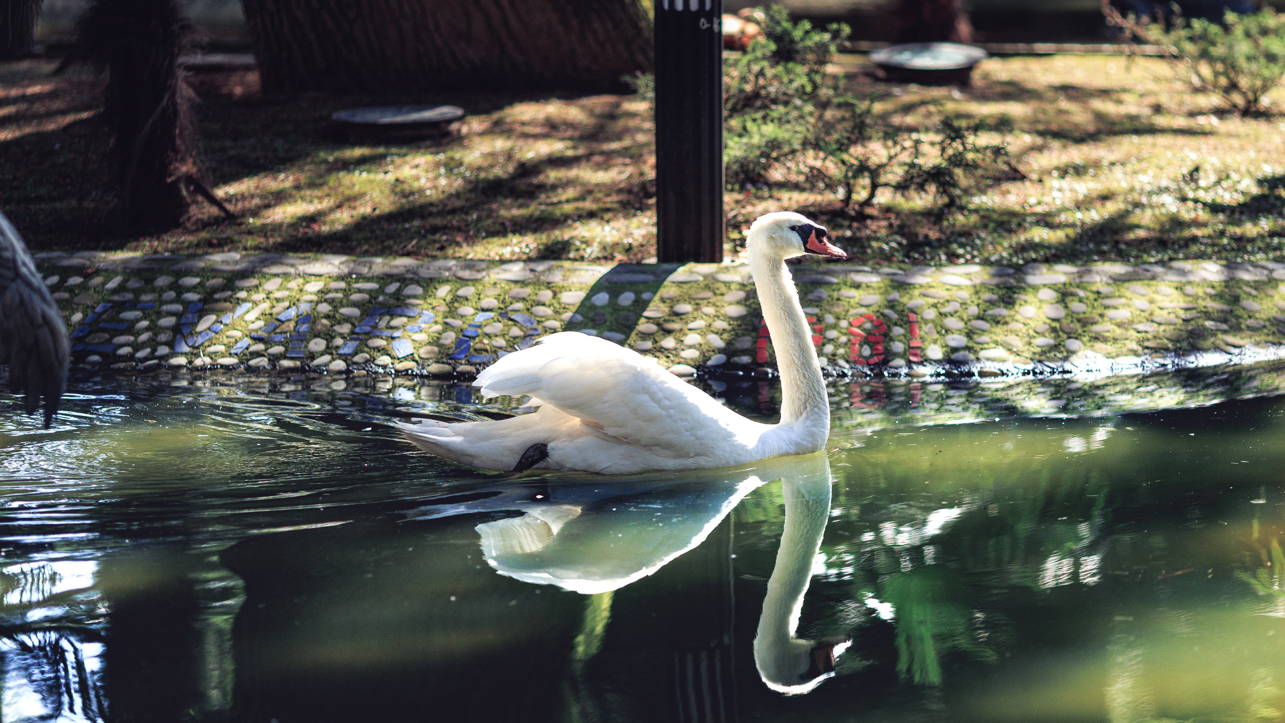 Прогулка. Сайт о фотографии, Москва