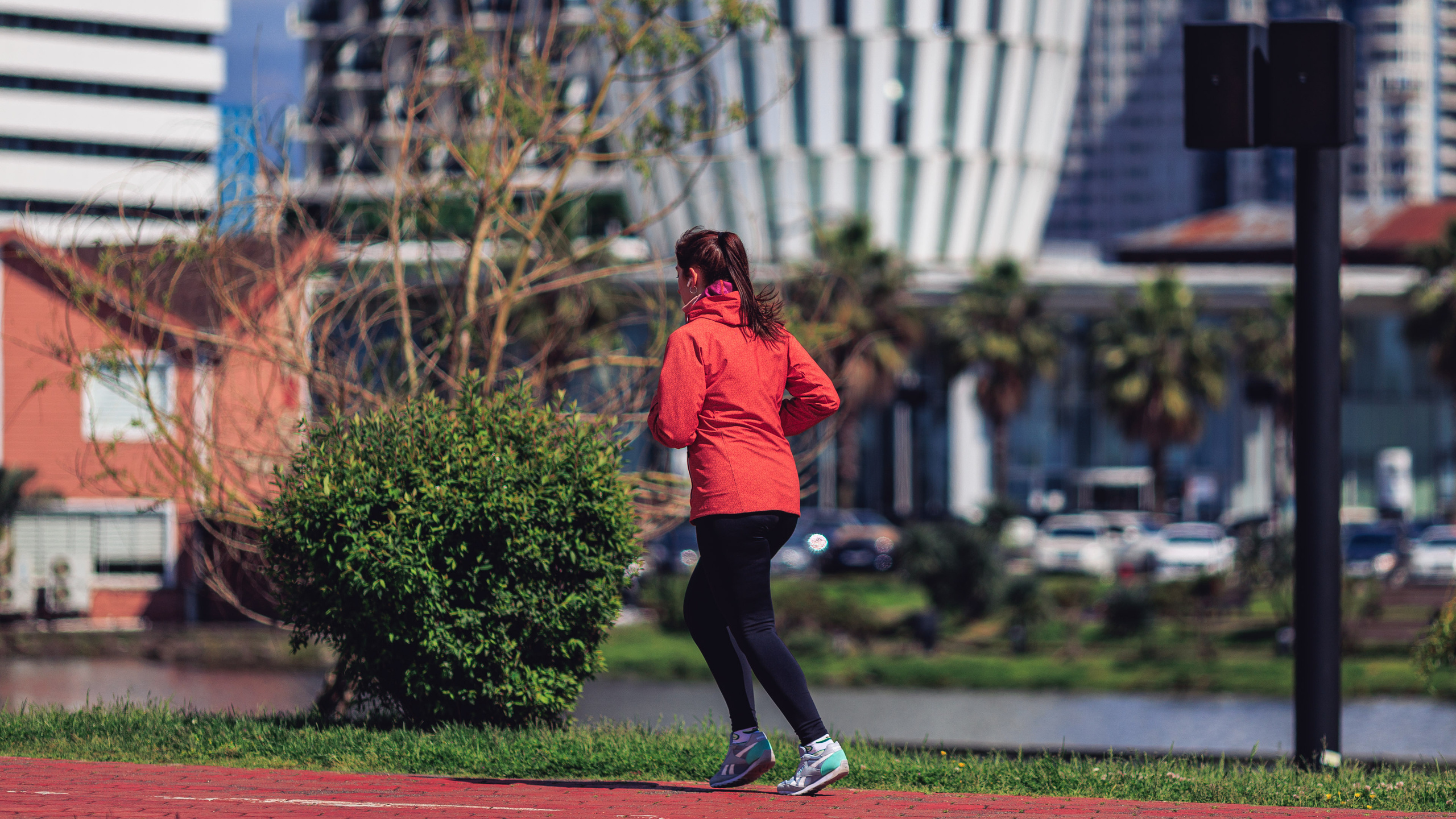 Прогулка. Сайт о фотографии, Москва