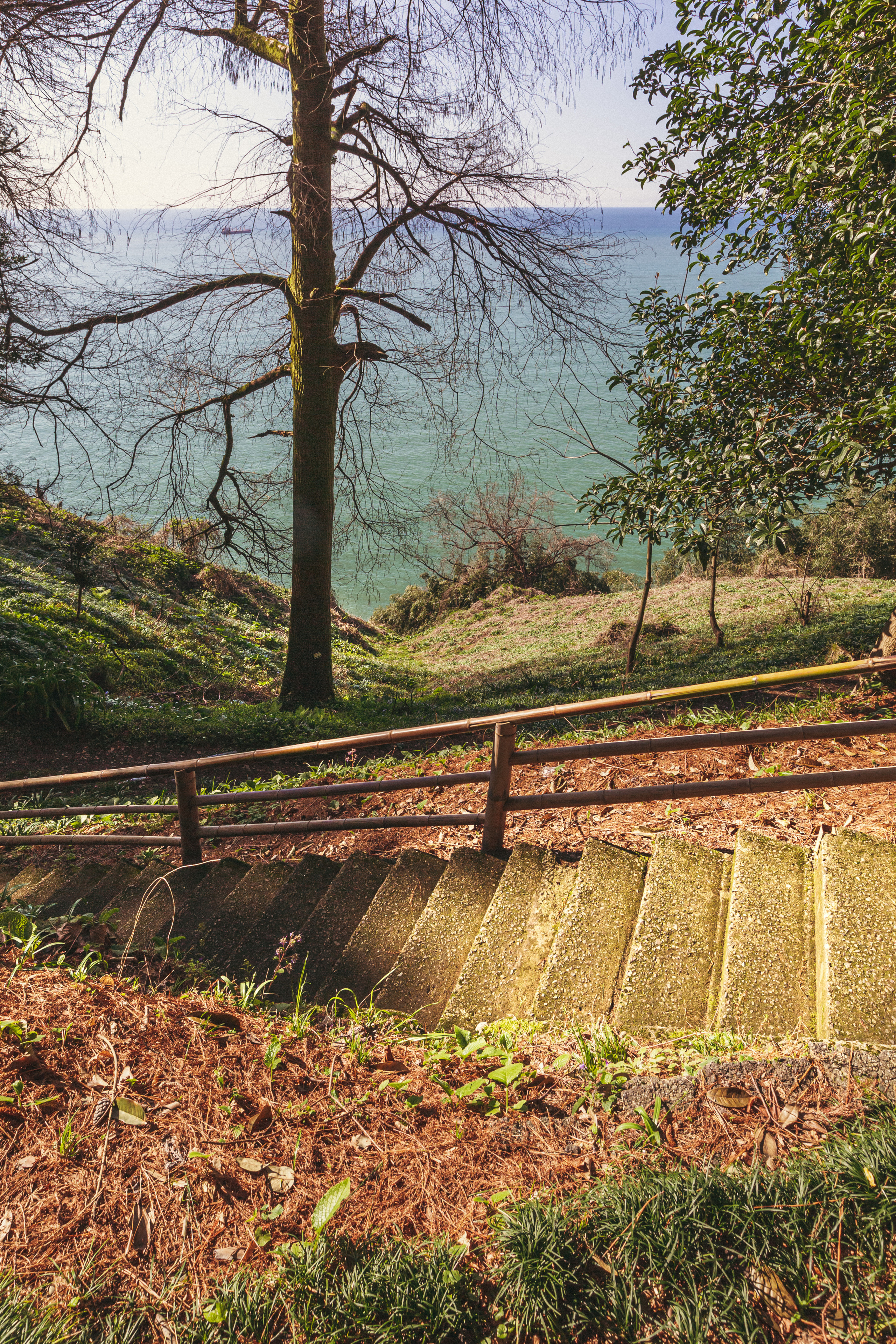 Ботанический сад. Сайт о фотографии, Москва