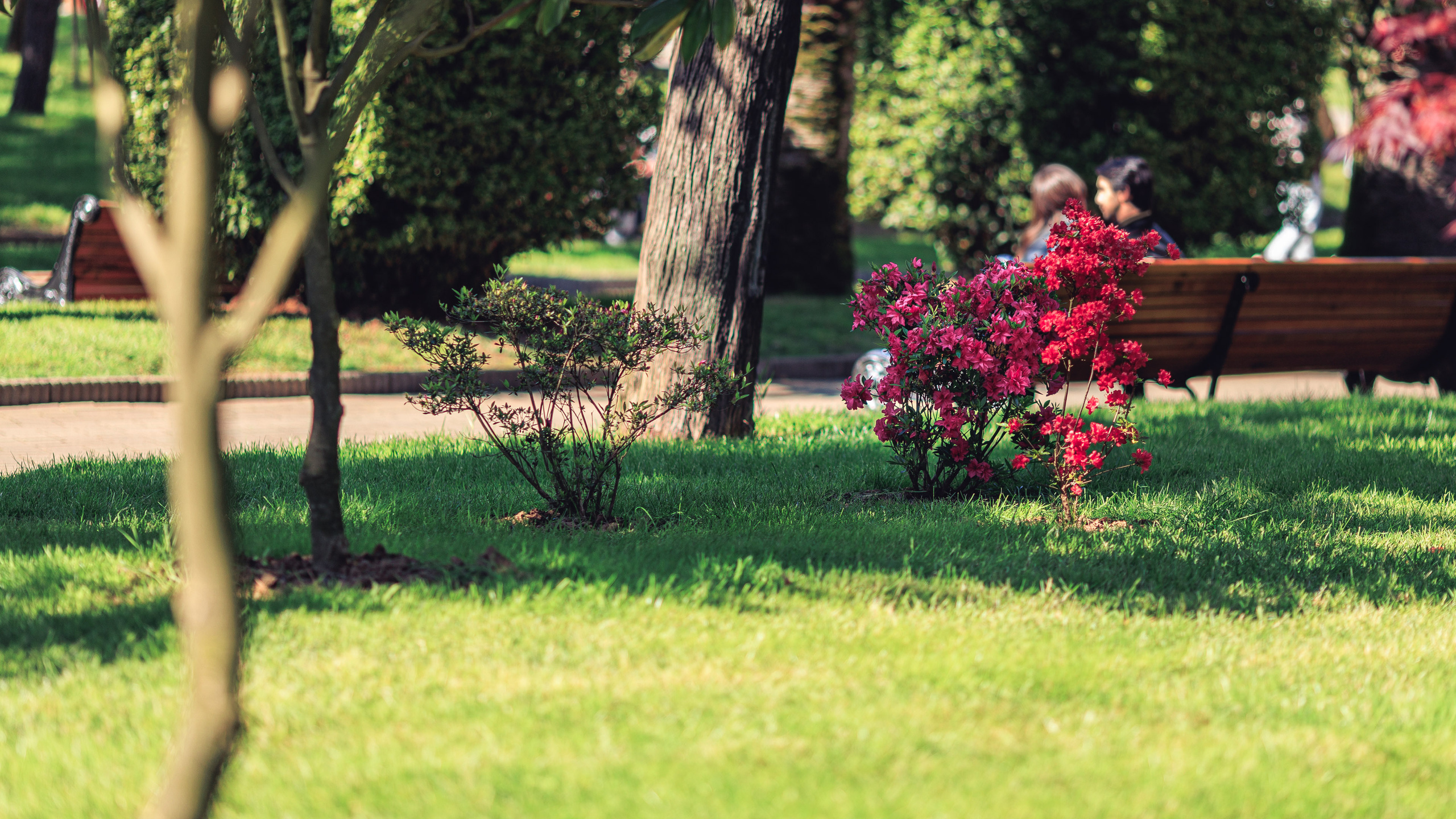 Прогулка. Сайт о фотографии, Москва