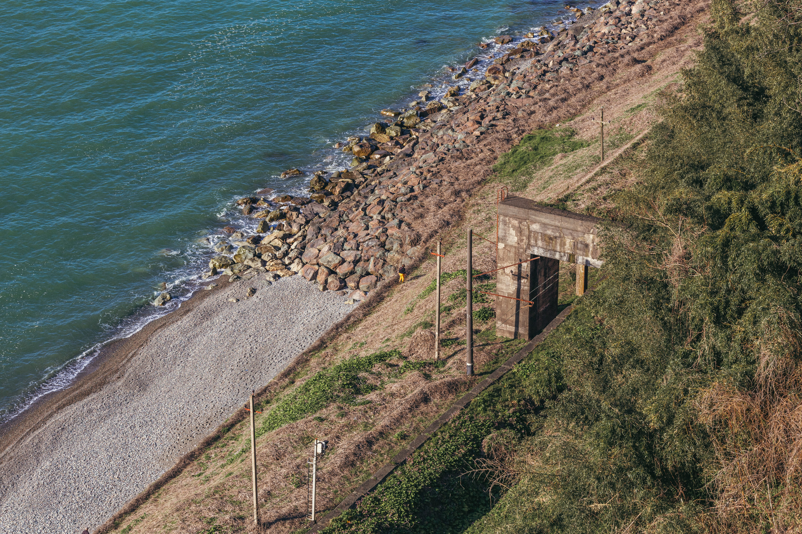 Ботанический сад. Сайт о фотографии, Москва