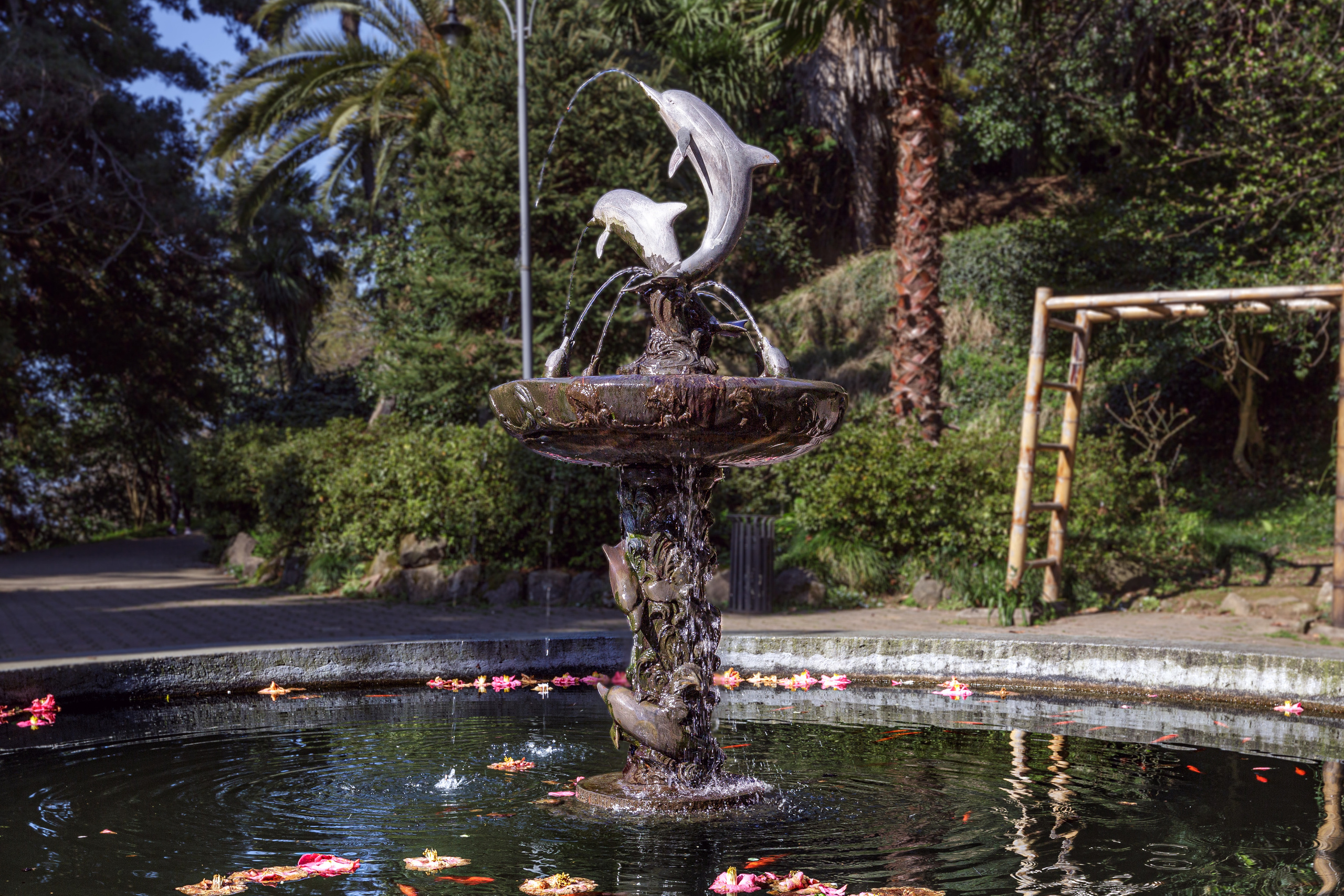 Ботанический сад. Сайт о фотографии, Москва