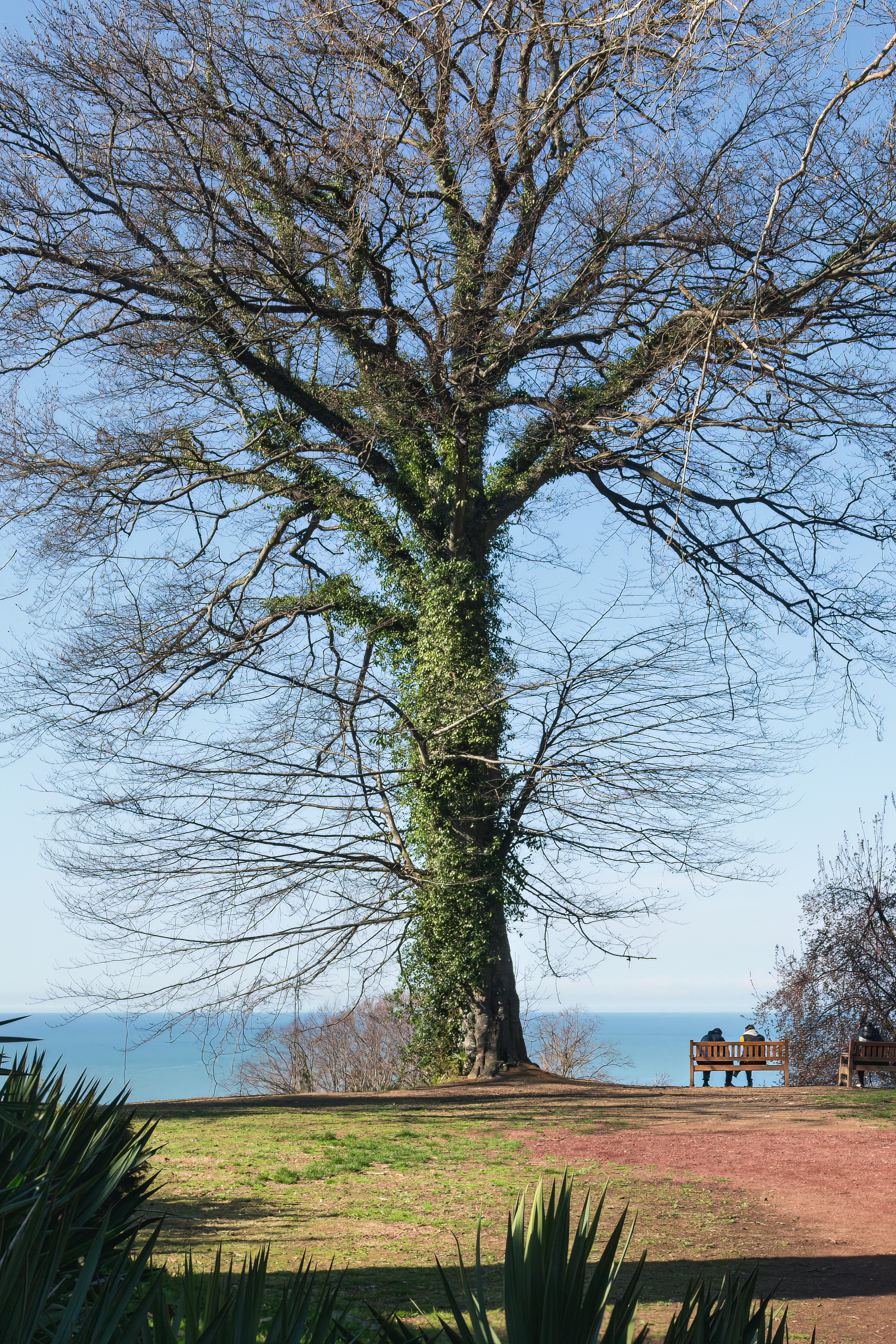 Ботанический сад. Сайт о фотографии, Москва
