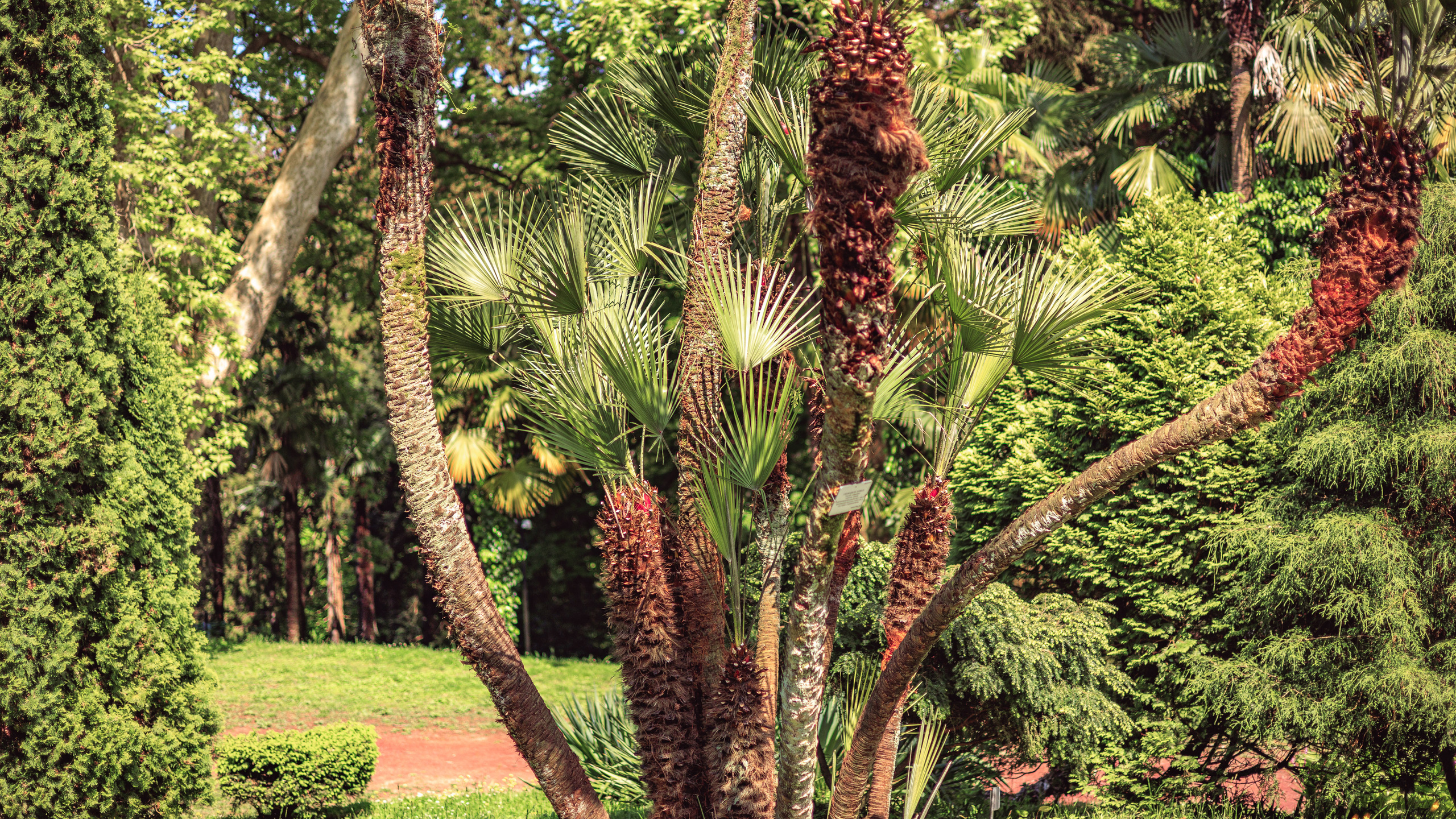 Ботсад. Сайт о фотографии, Москва