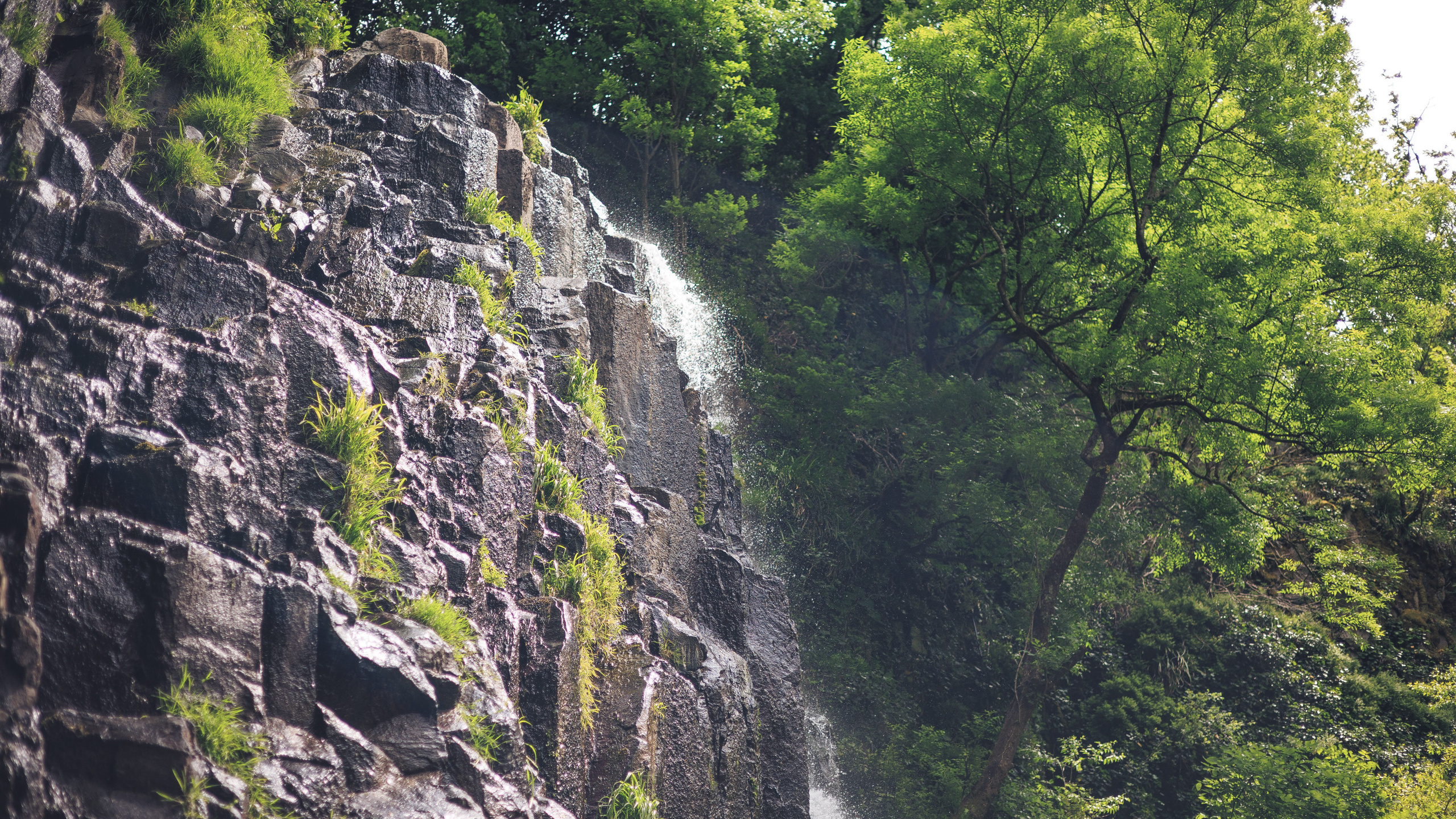 Прогулка. Сайт о фотографии, Москва