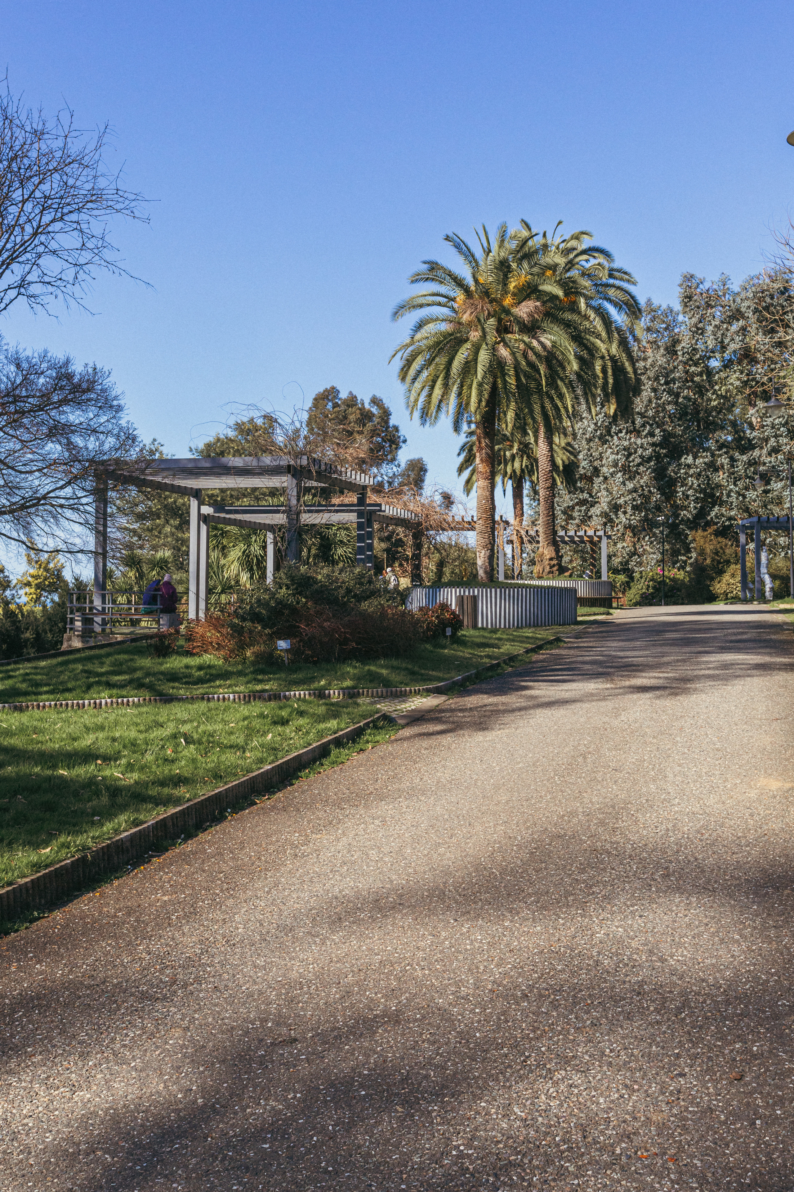 Ботанический сад. Сайт о фотографии, Москва