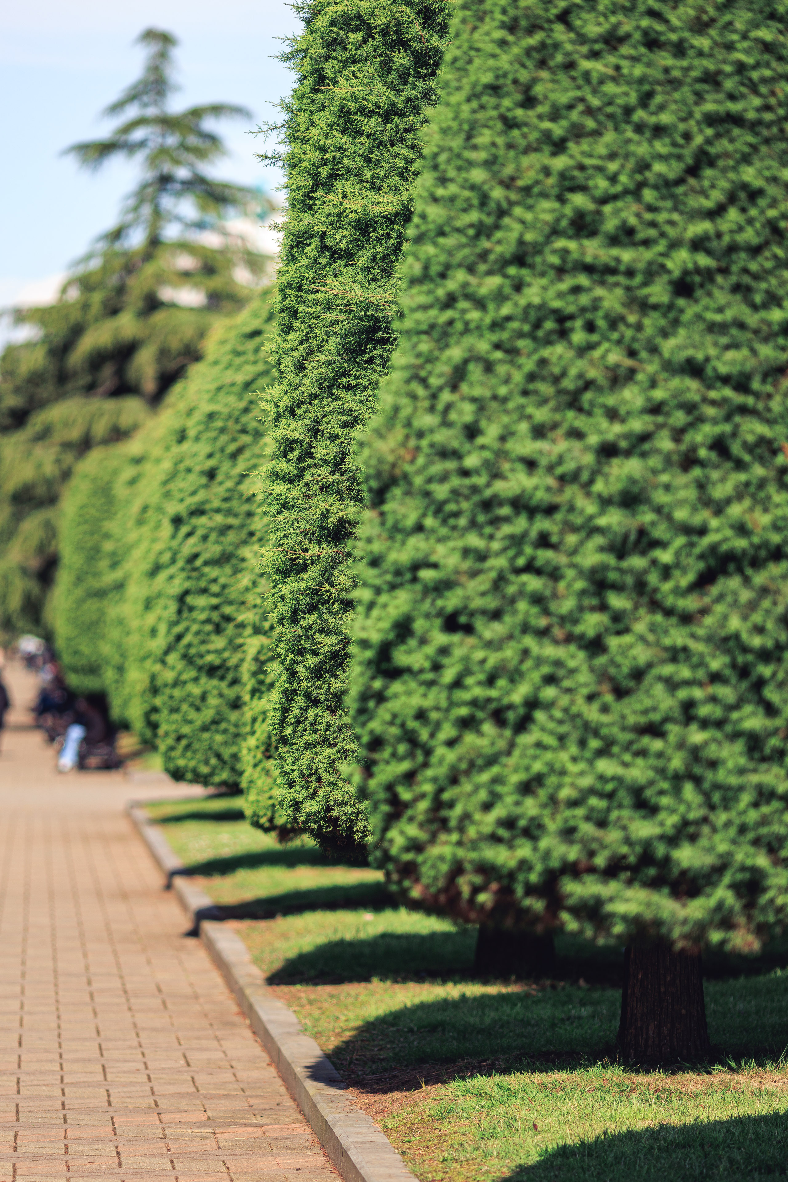 Прогулка. Сайт о фотографии, Москва