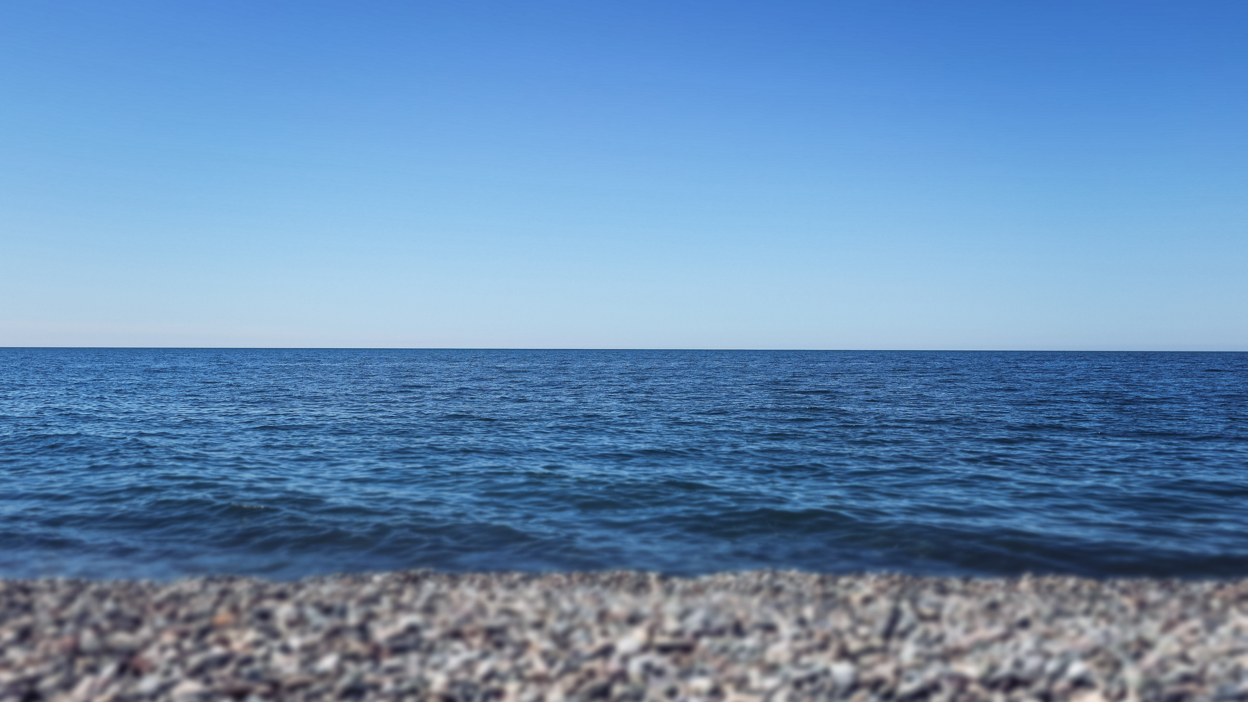 Прогулка. Сайт о фотографии, Москва