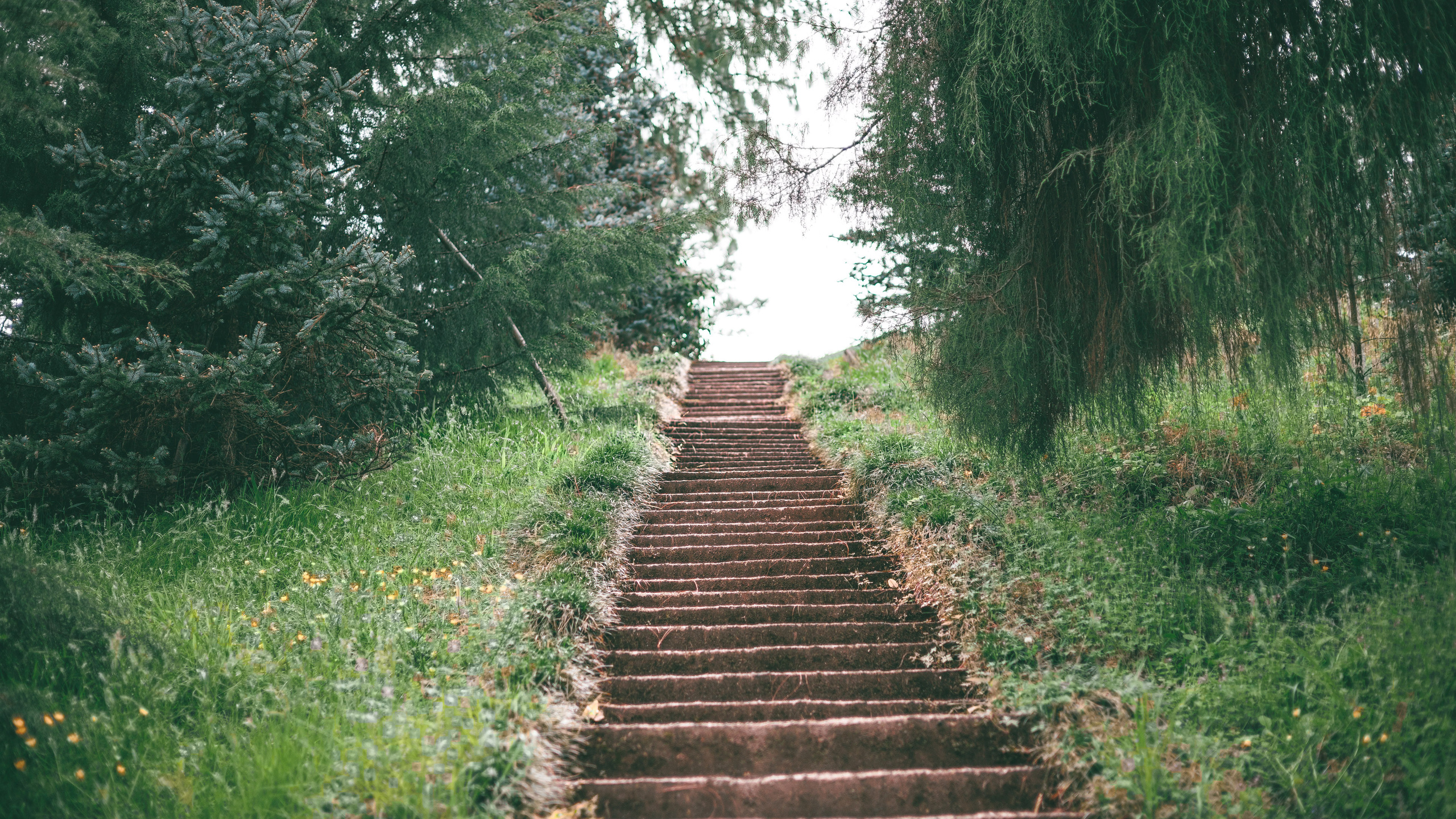 Ботсад. Сайт о фотографии, Москва