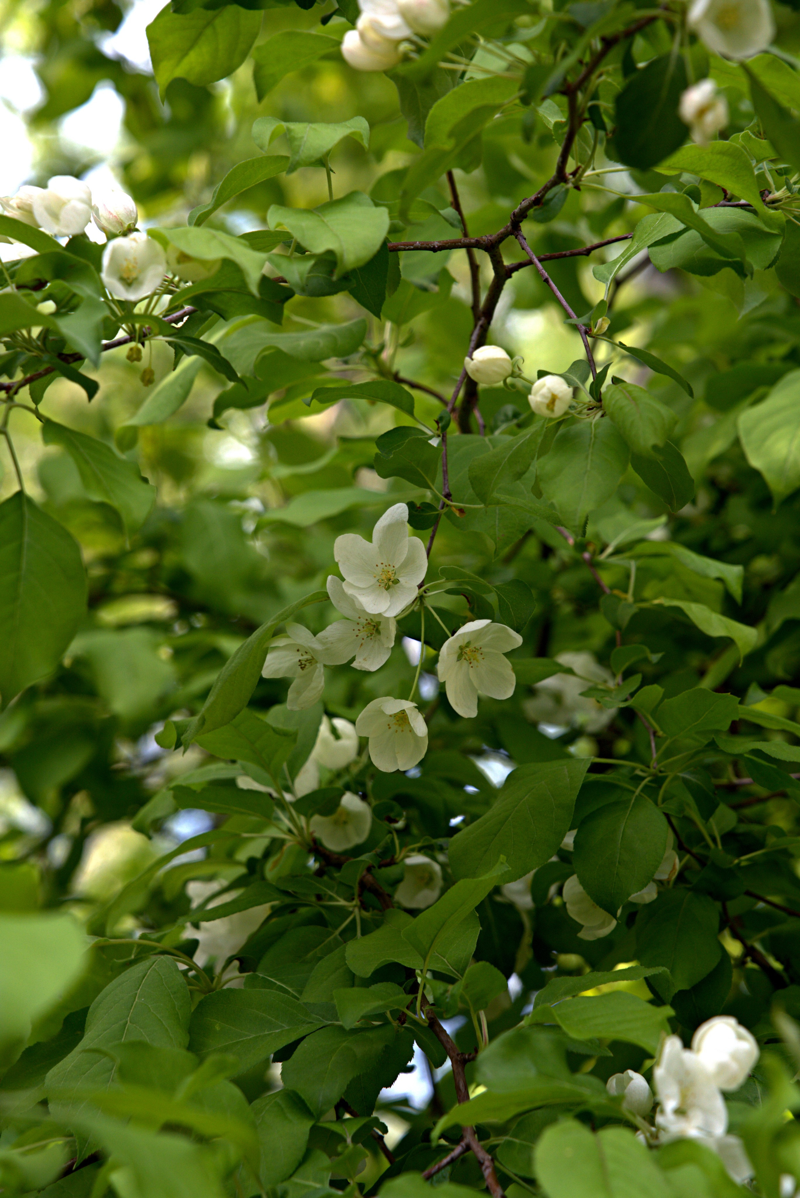 Музей-Заповедник «Царицыно» | 2025. GLAR