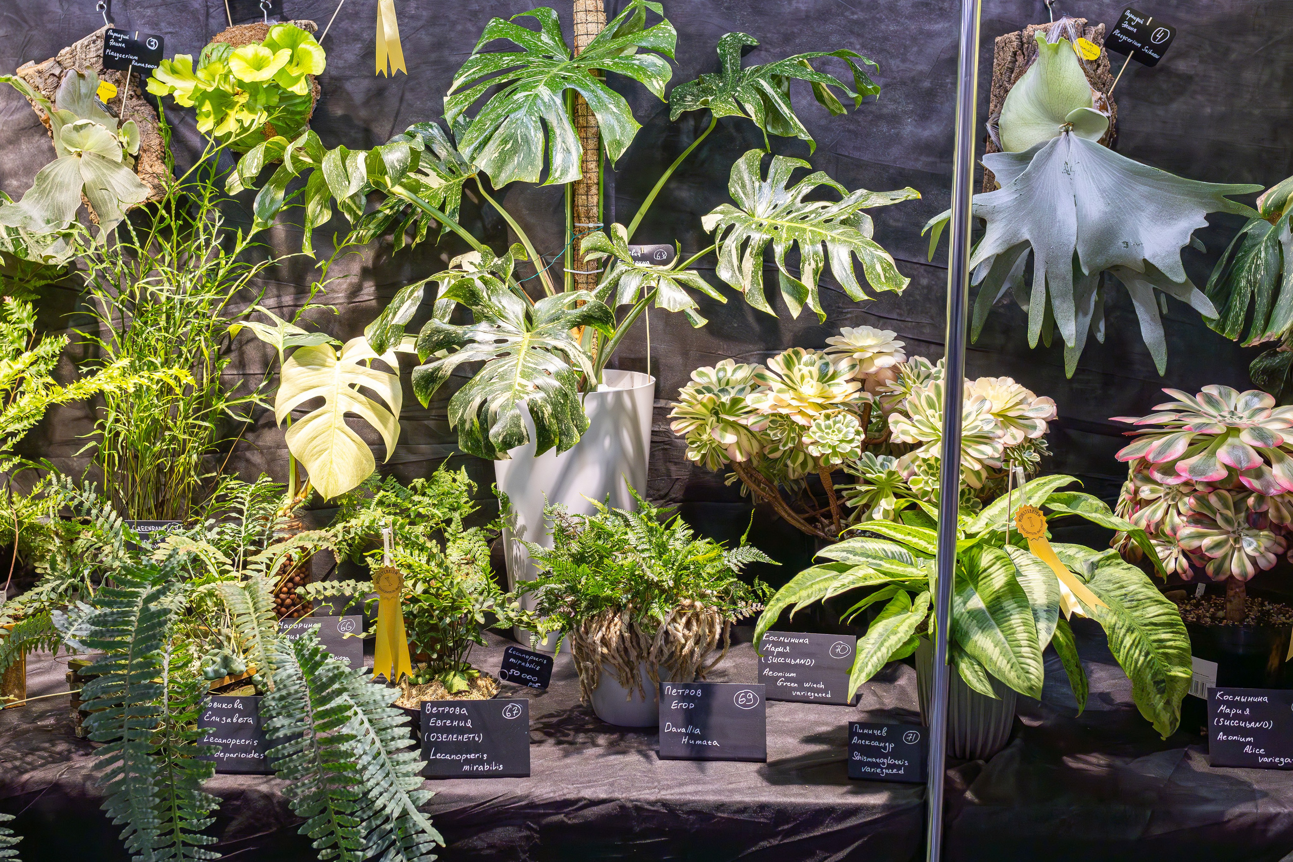 Монстериум 11–12 октября. Александра Куликова фотограф, Москва