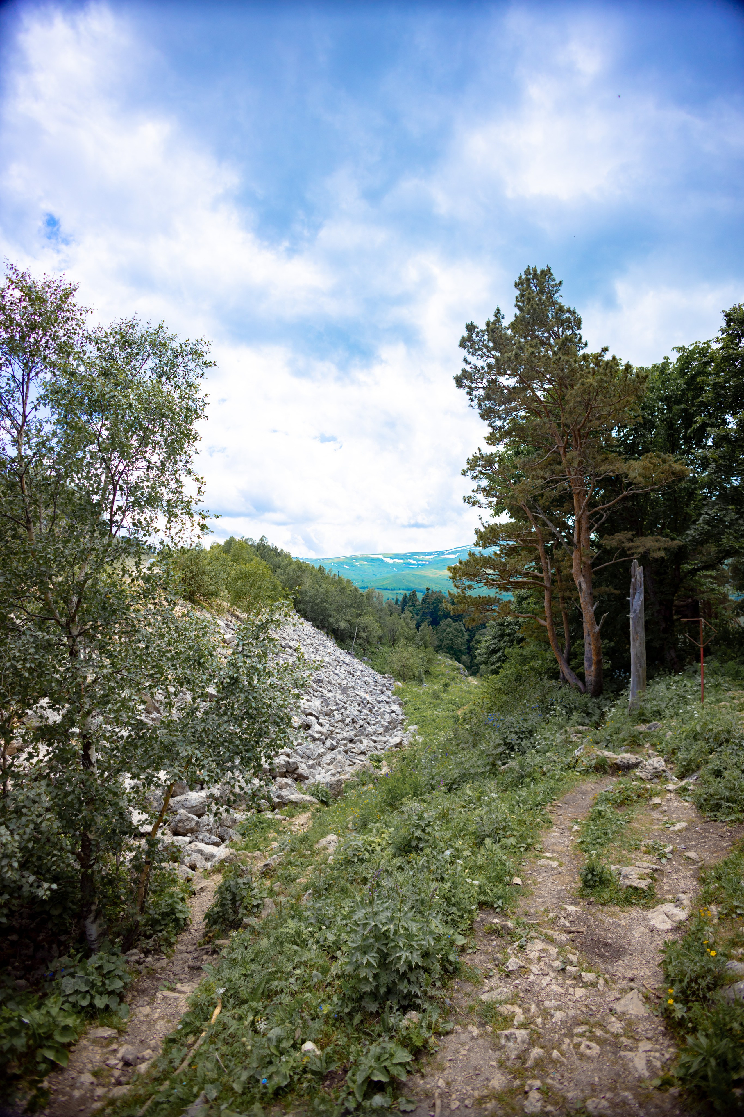 Осень. Профессиональный фотограф и видеооператор
