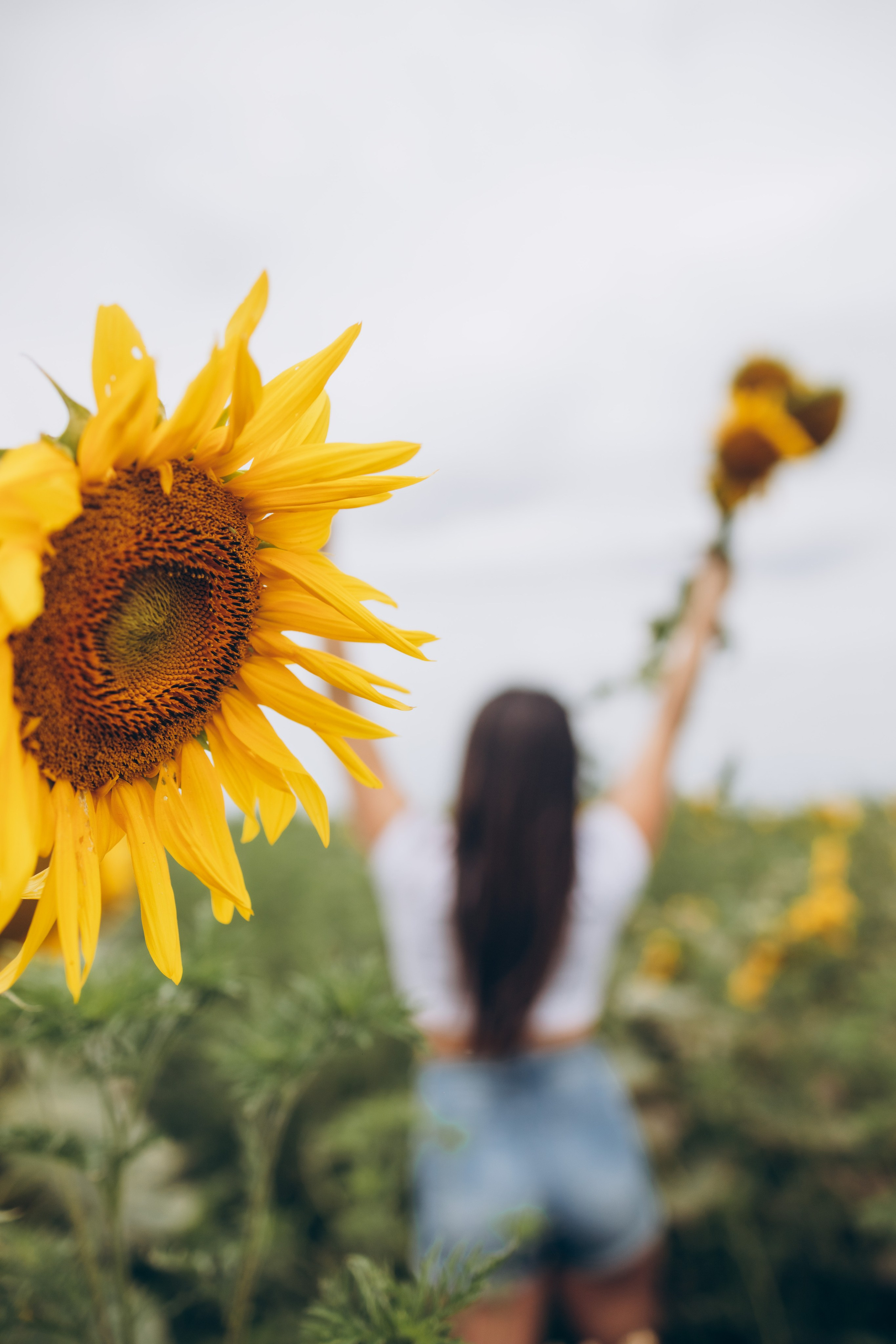 Лето. Профессиональный фотограф и видеооператор
