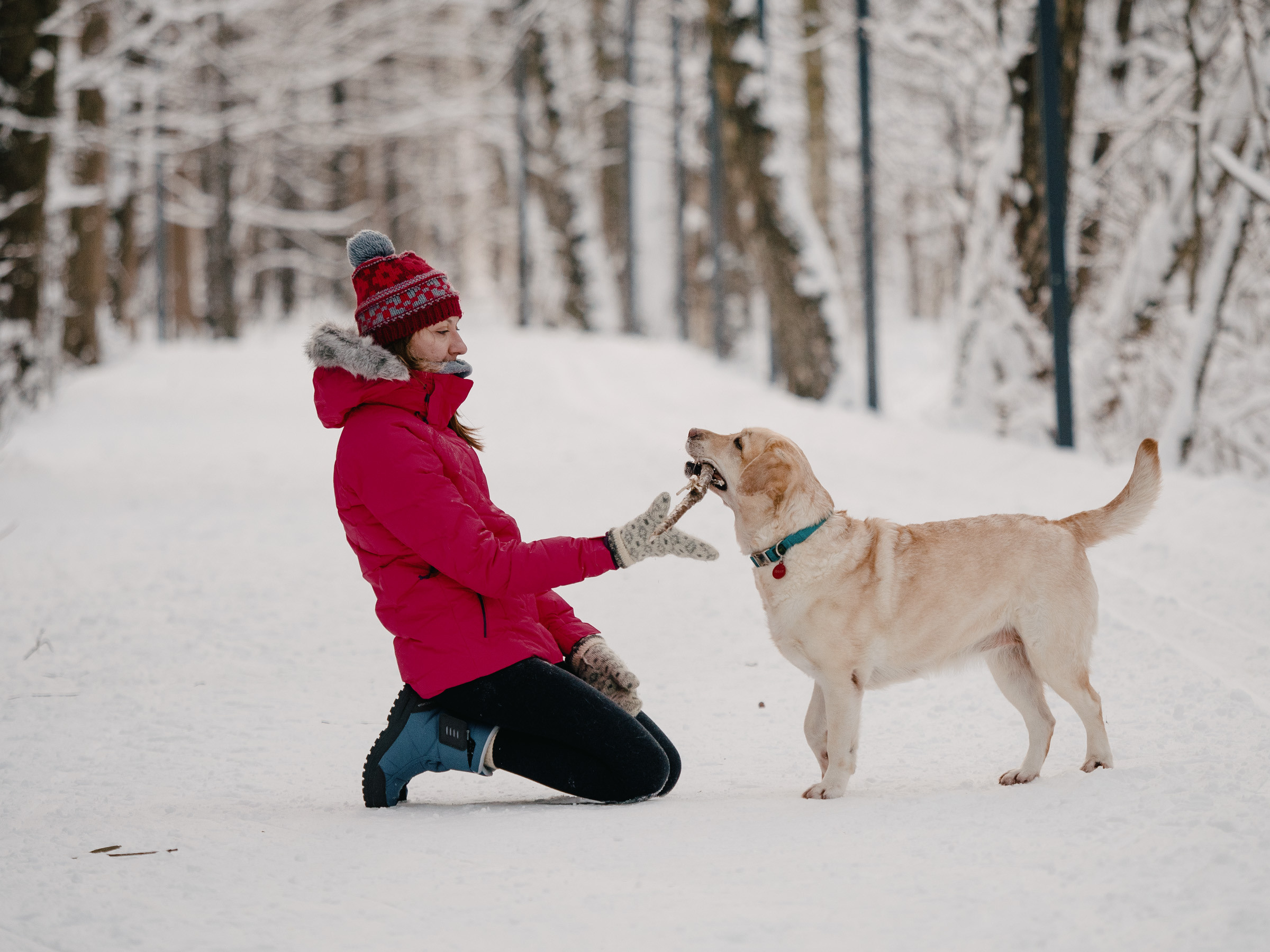 Фотосессия в лесу зимой. Фотограф Маруся Машкова