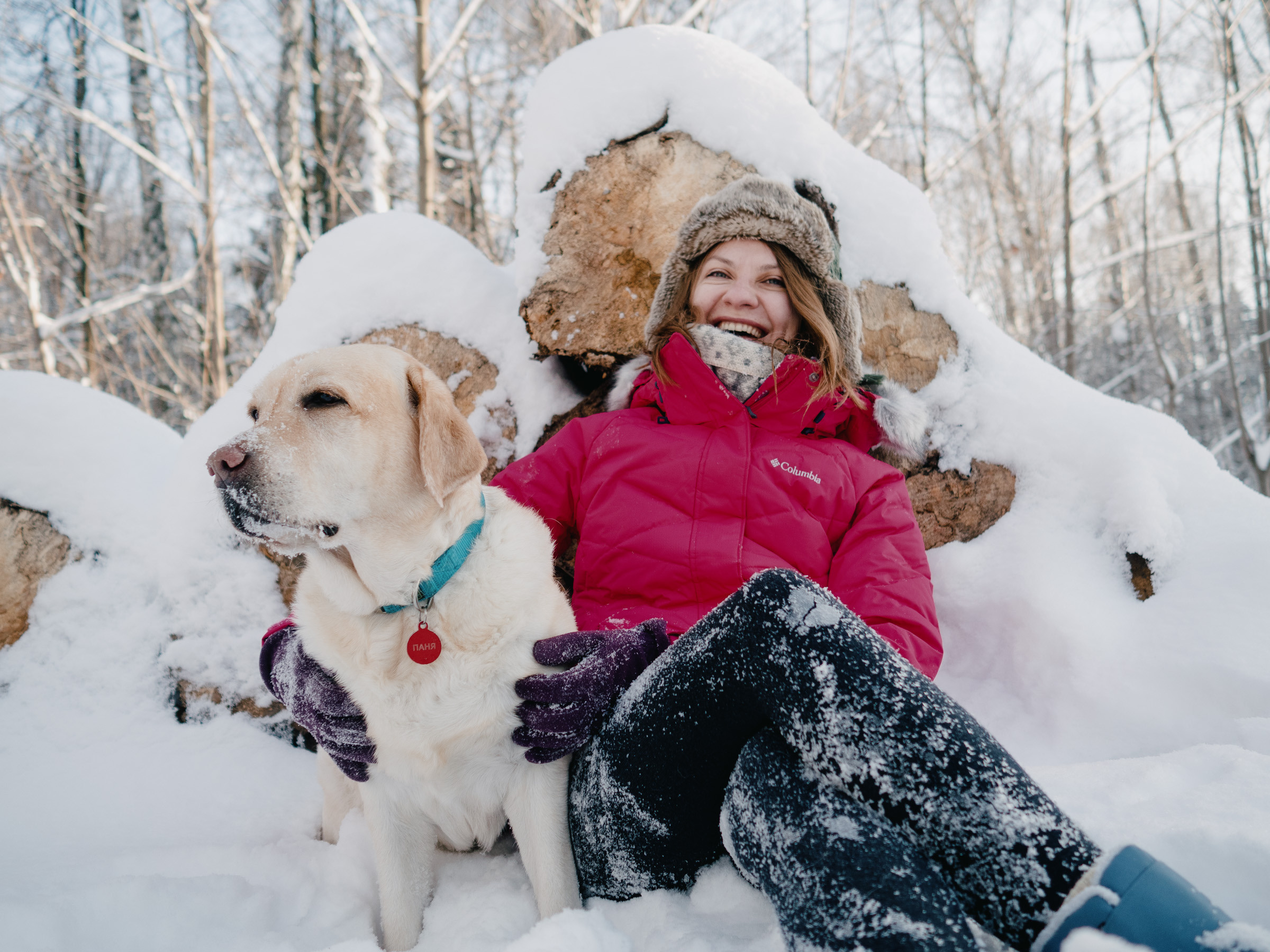 Зимний фотосет с собакой