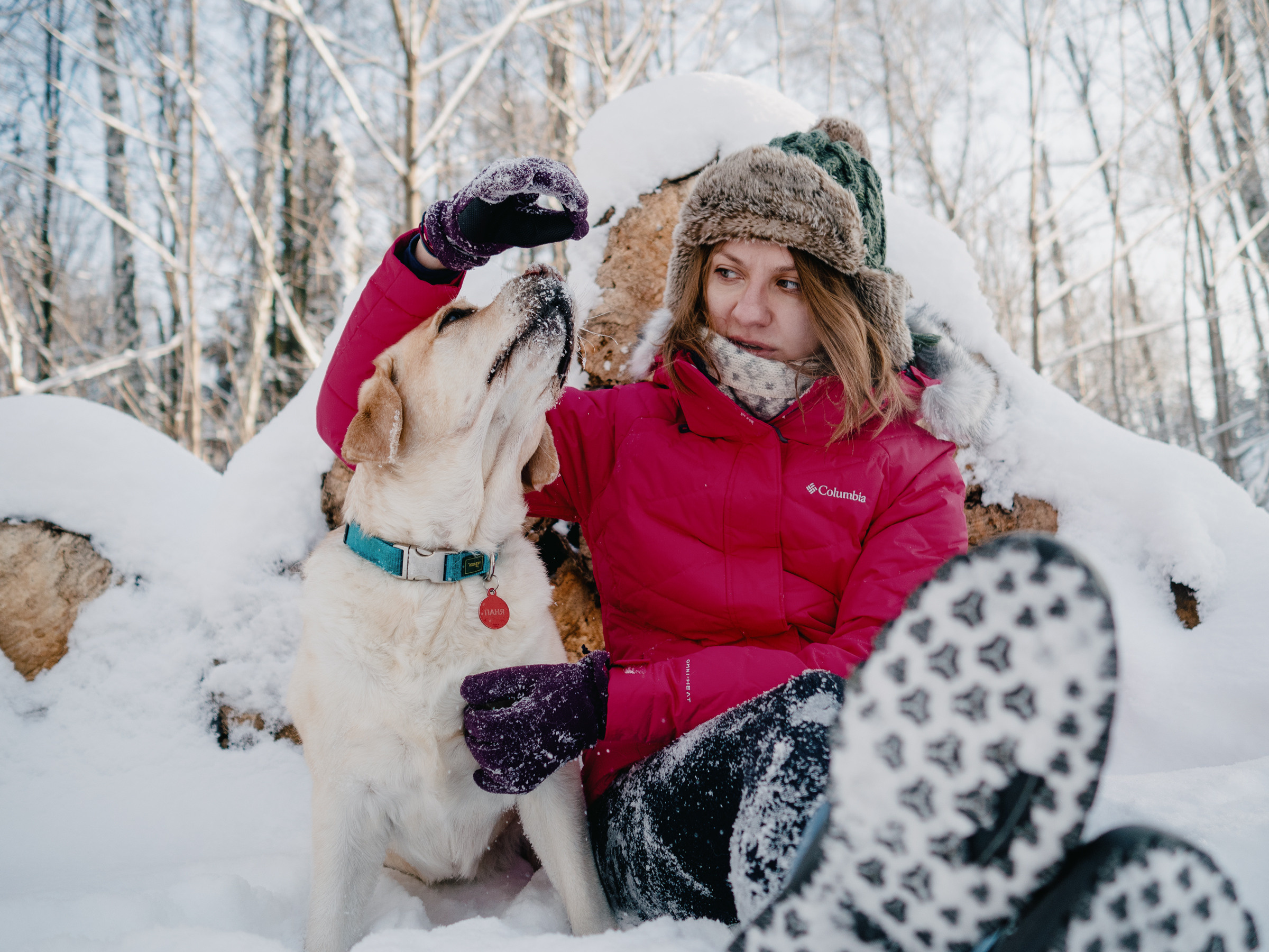 Собачья радость