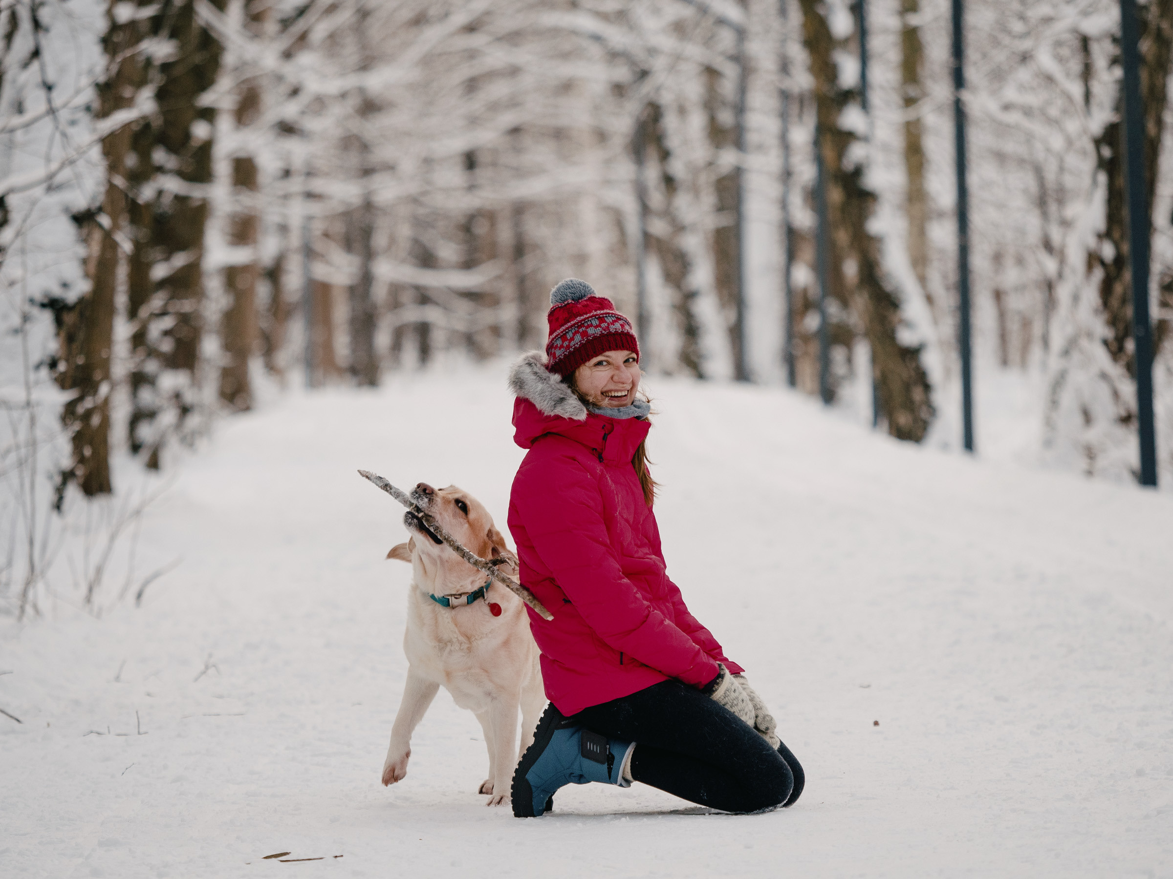 Зимняя фотосессия с собакой