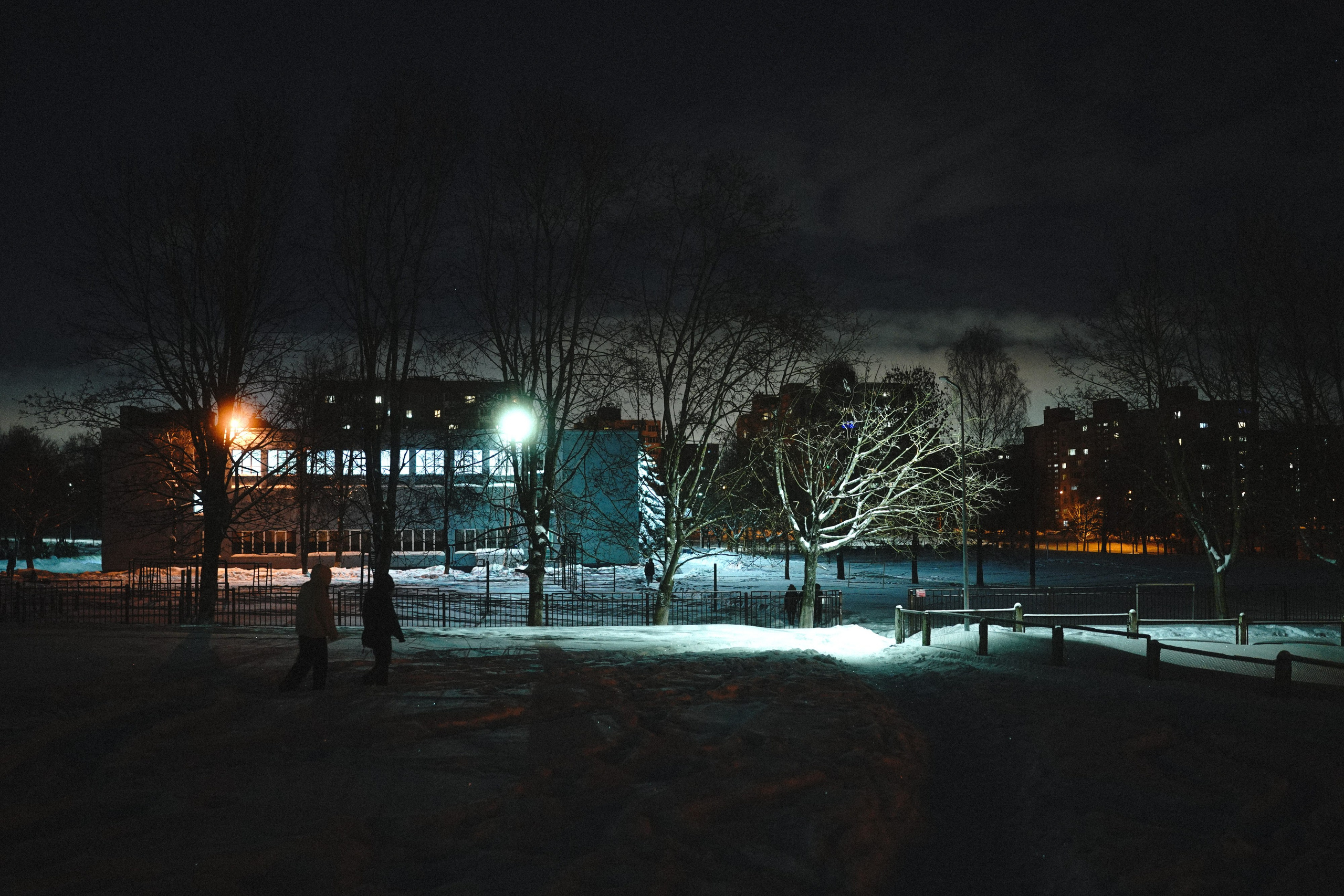 Фотодневник: в цвете. Фотограф Д. Куценков