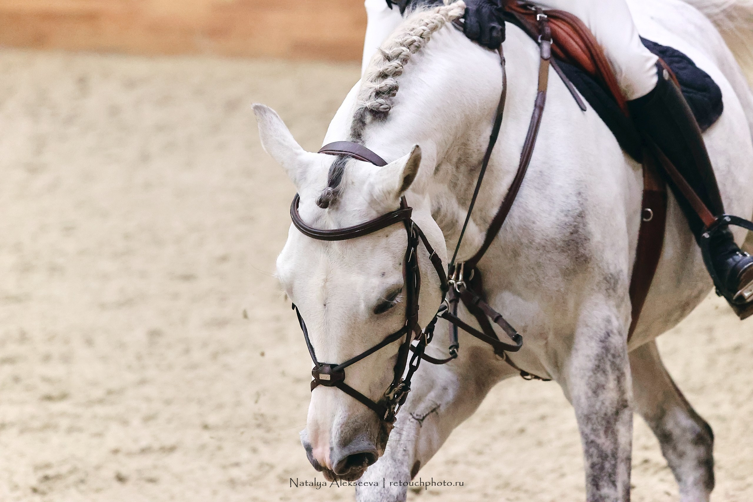 Финал Maxima Park по конкуру, Maxima Stables | 10'2023. Репортажный фотограф и ретушер в Москве Наталья Алексеева