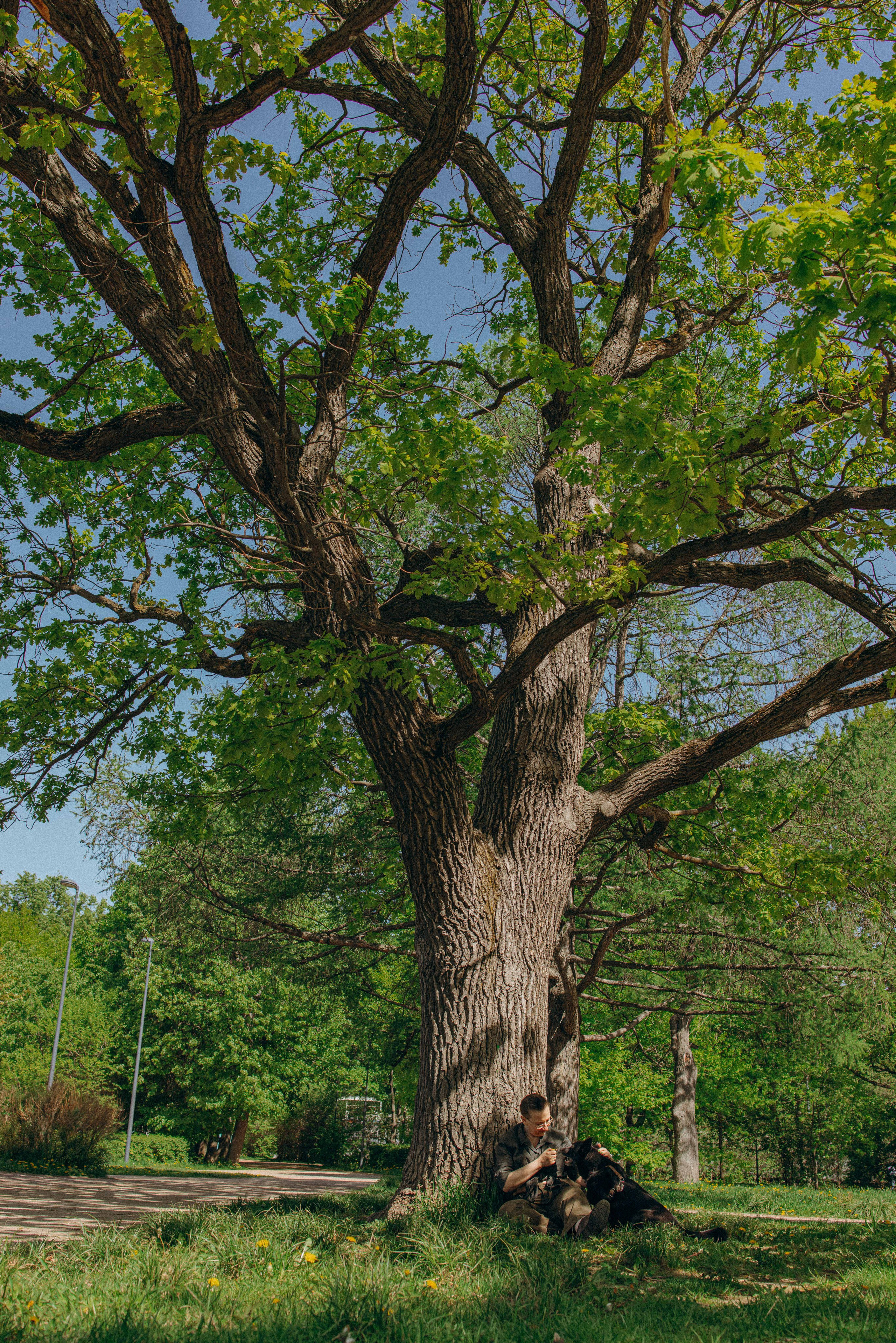 Наталья, Марфа и Норд. Фотограф-анималист в Москве Лера Черноног
