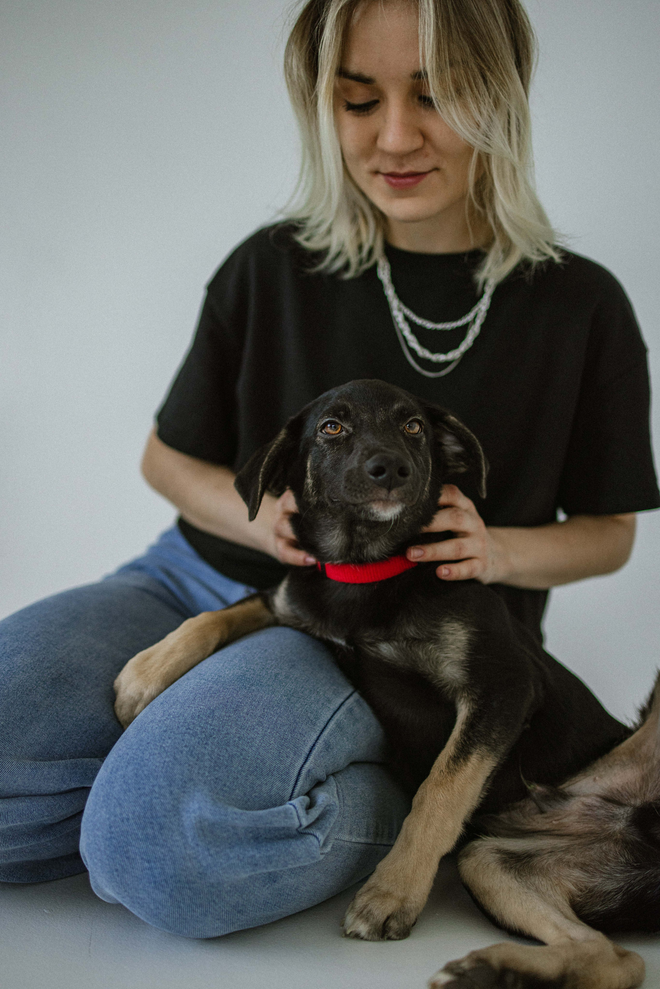 Крис и Тэдди. Фотограф-анималист в Москве Лера Черноног