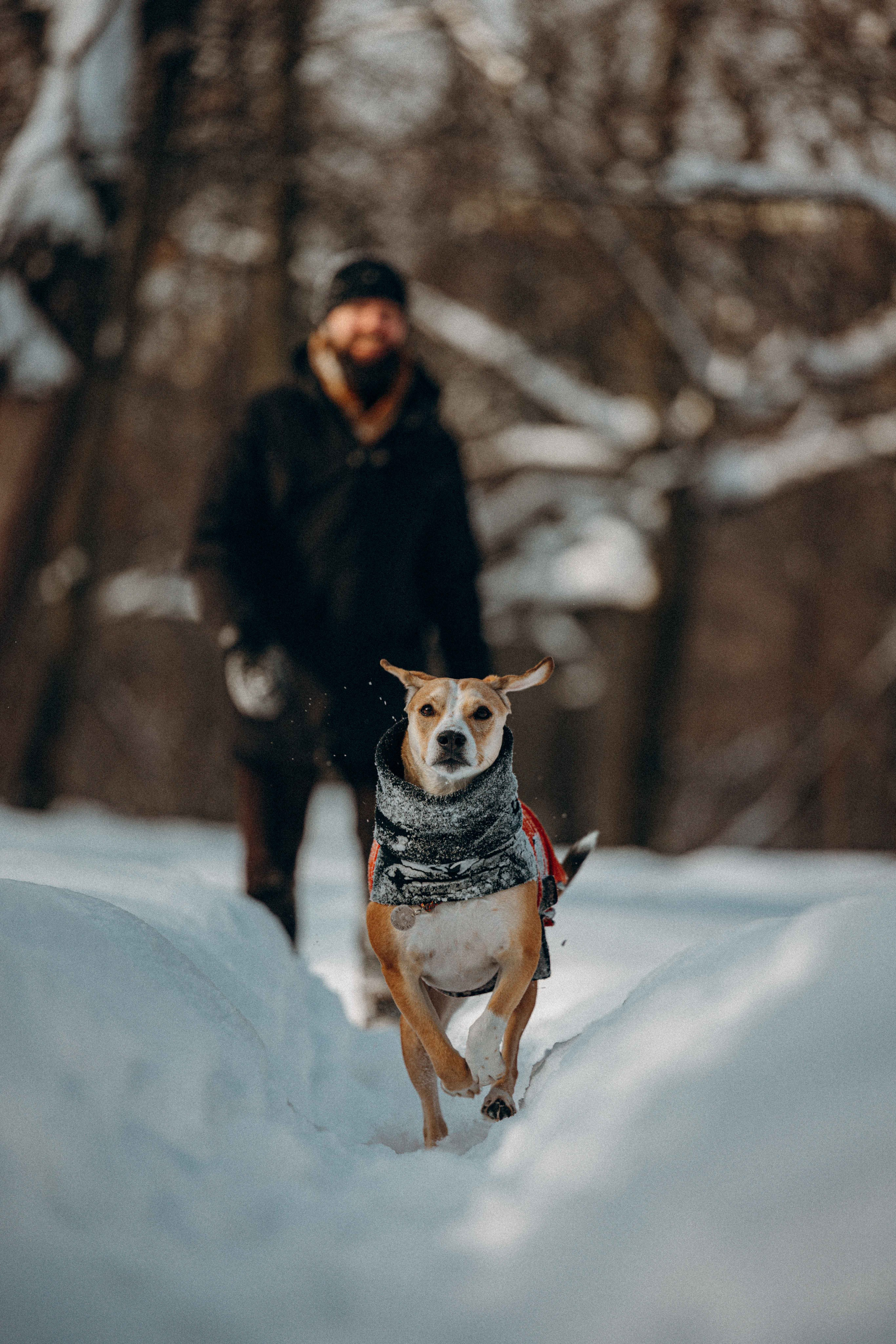 Свобода и ее семья. Фотограф-анималист в Москве Лера Черноног