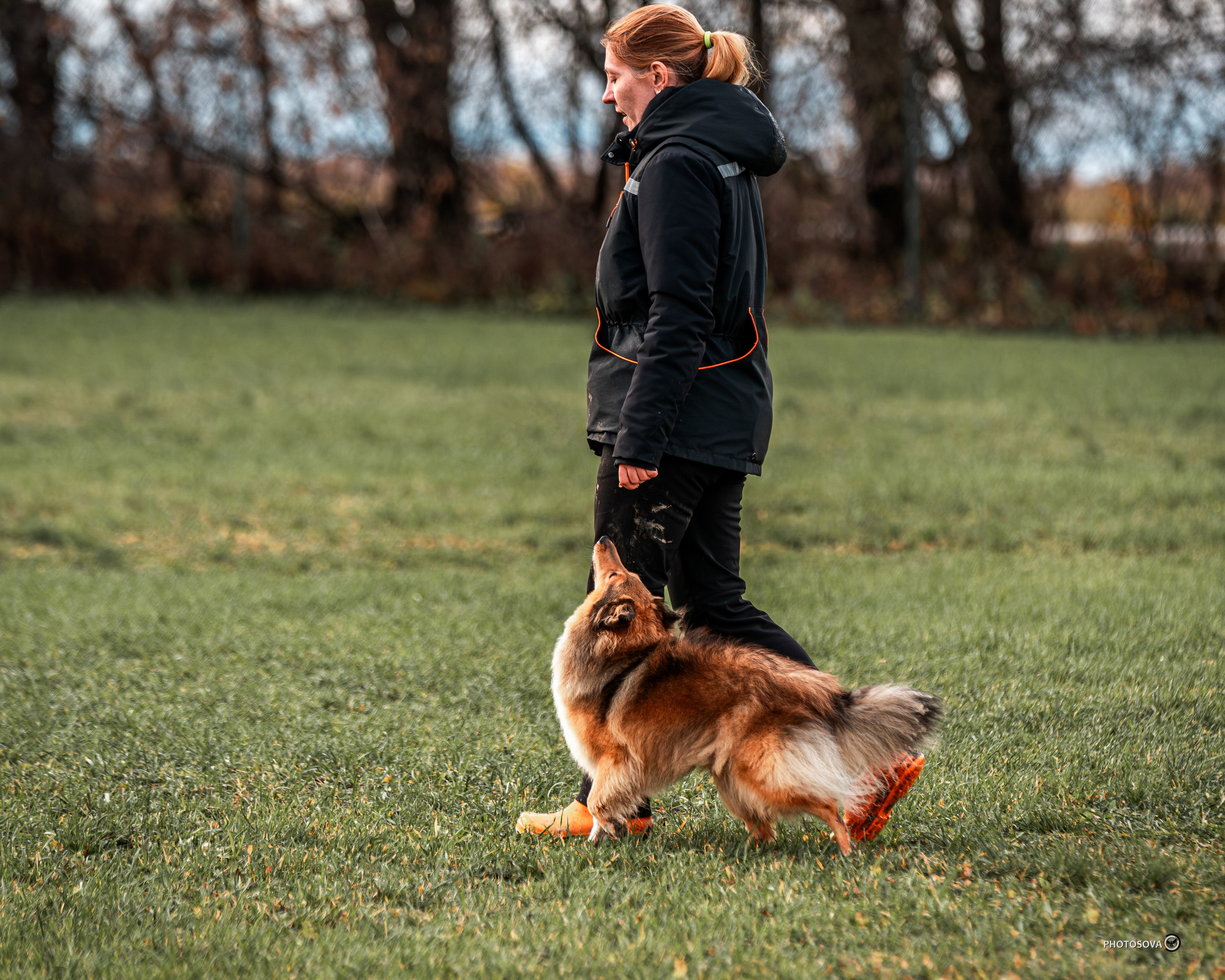 МЫ — КОМАНДА (соревнования) OKD, BH, IBGH, IGP. Фотограф-анималист, семейный фотограф в Москве и Подмосковье. Фотосъёмка кинологических дисциплин