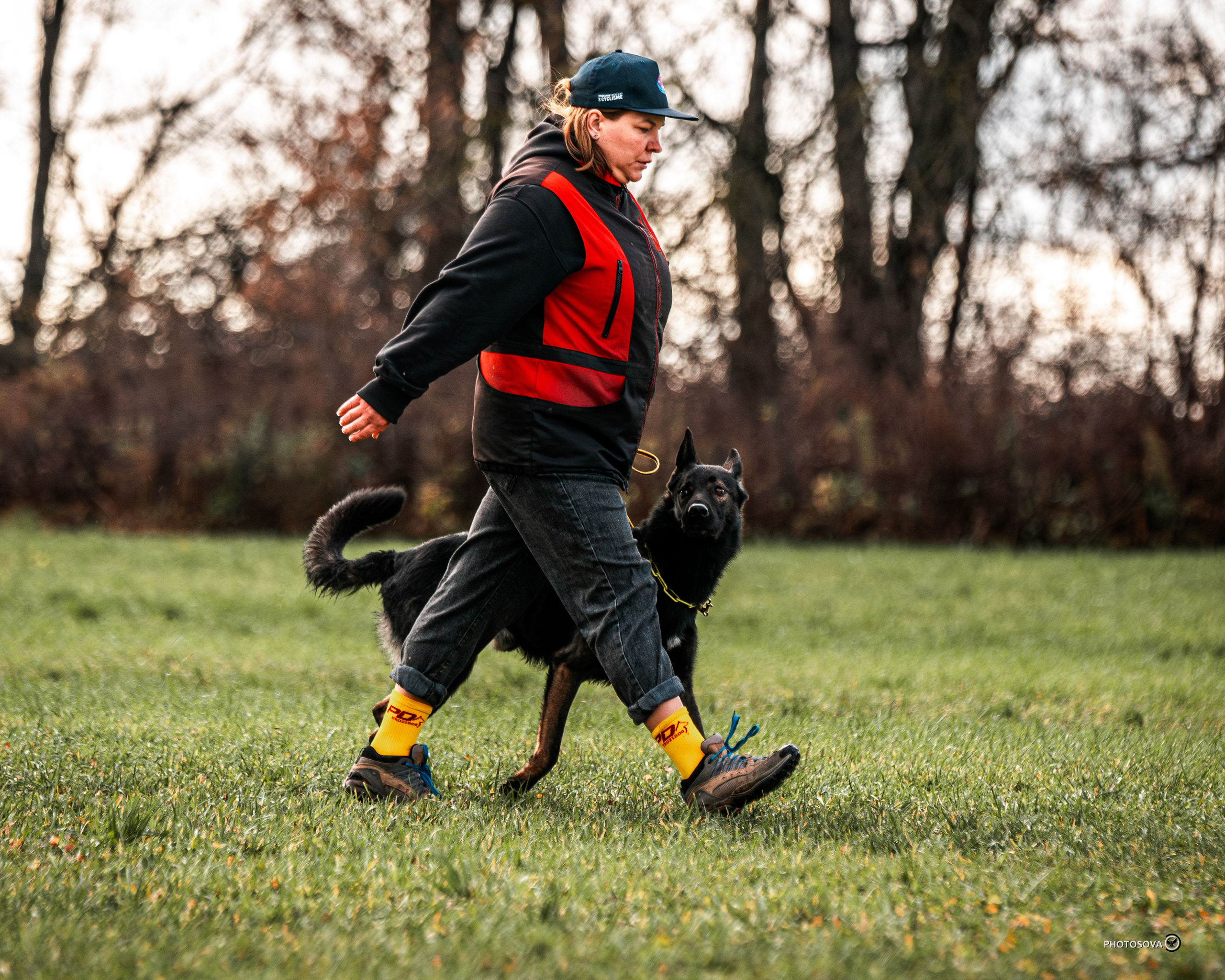 МЫ — КОМАНДА (соревнования) OKD, BH, IBGH, IGP. Фотограф-анималист, семейный фотограф в Москве и Подмосковье. Фотосъёмка кинологических дисциплин