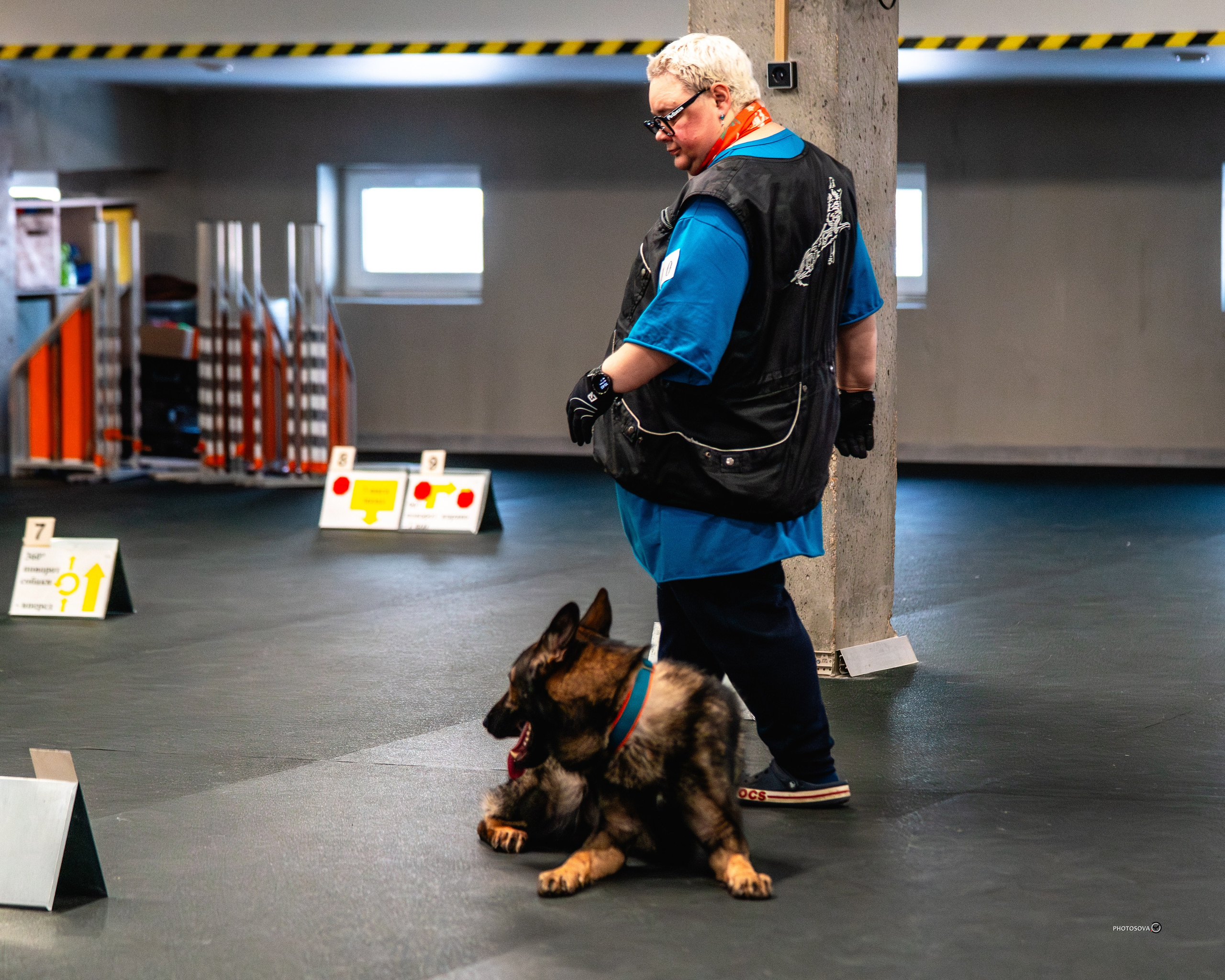 ТЫ И Я (соревнования по ралли-обидиенс). Фотограф-анималист, семейный фотограф в Москве и Подмосковье. Фотосъёмка кинологических дисциплин