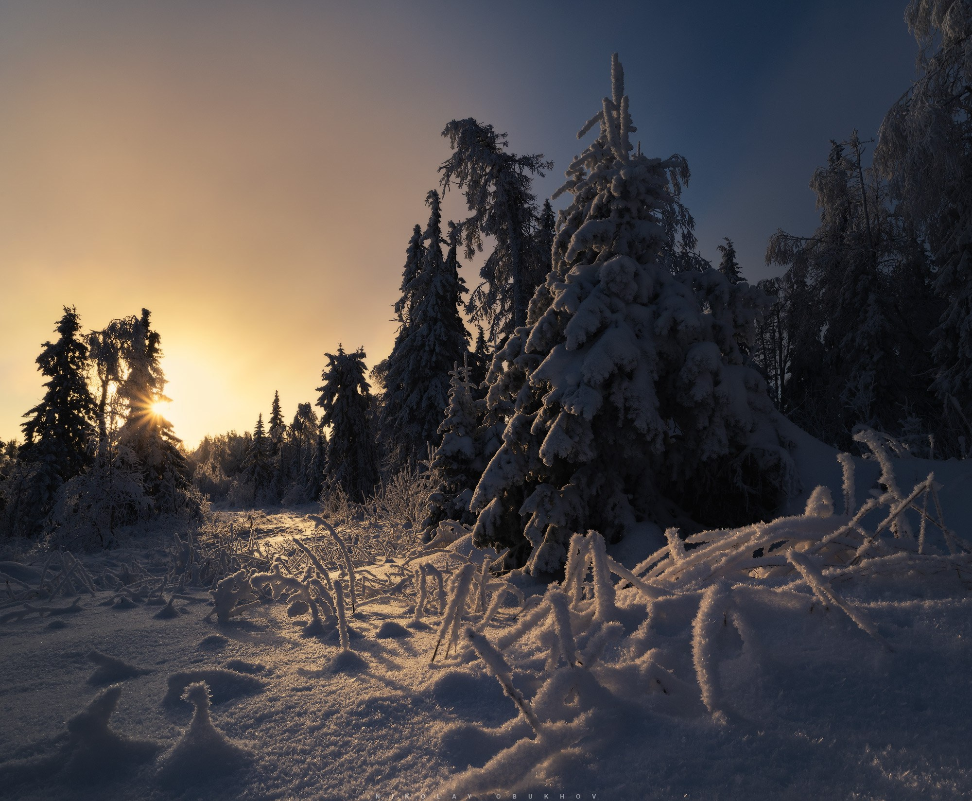 Зимний пейзаж на горе Белая — мороз и сияние снежных елей.