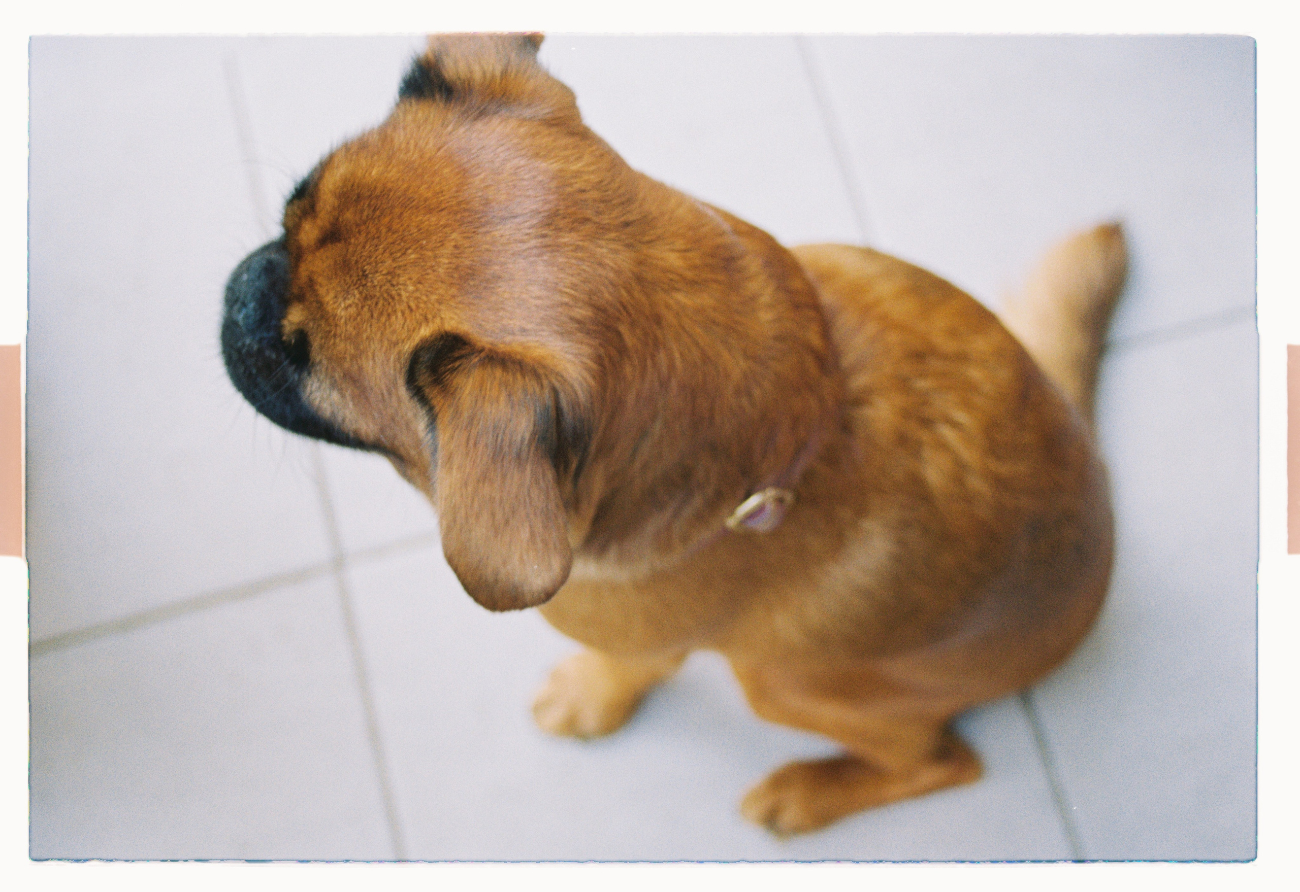 Историю любви Юли и Тина. Главная