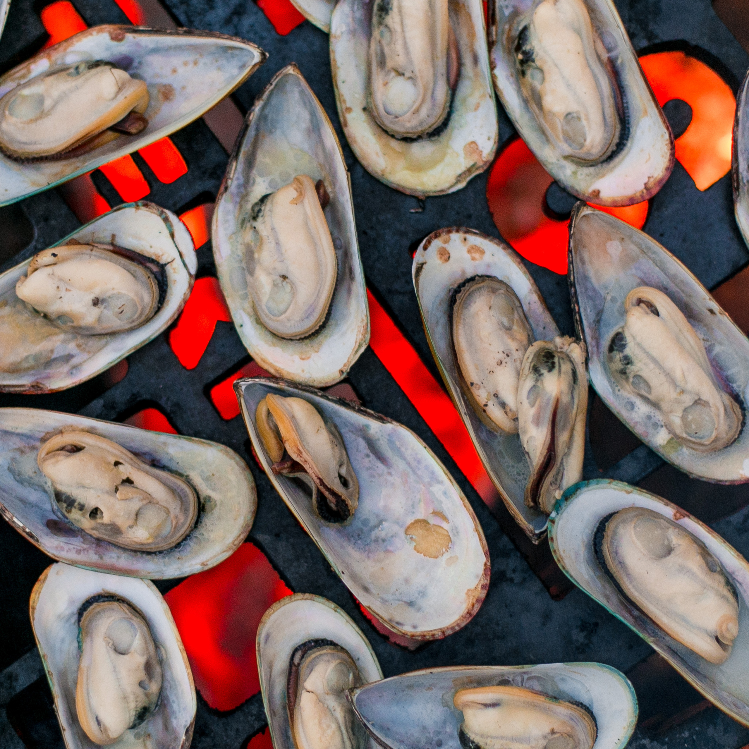 Новоселье. Репортажный фотограф Борис Геер