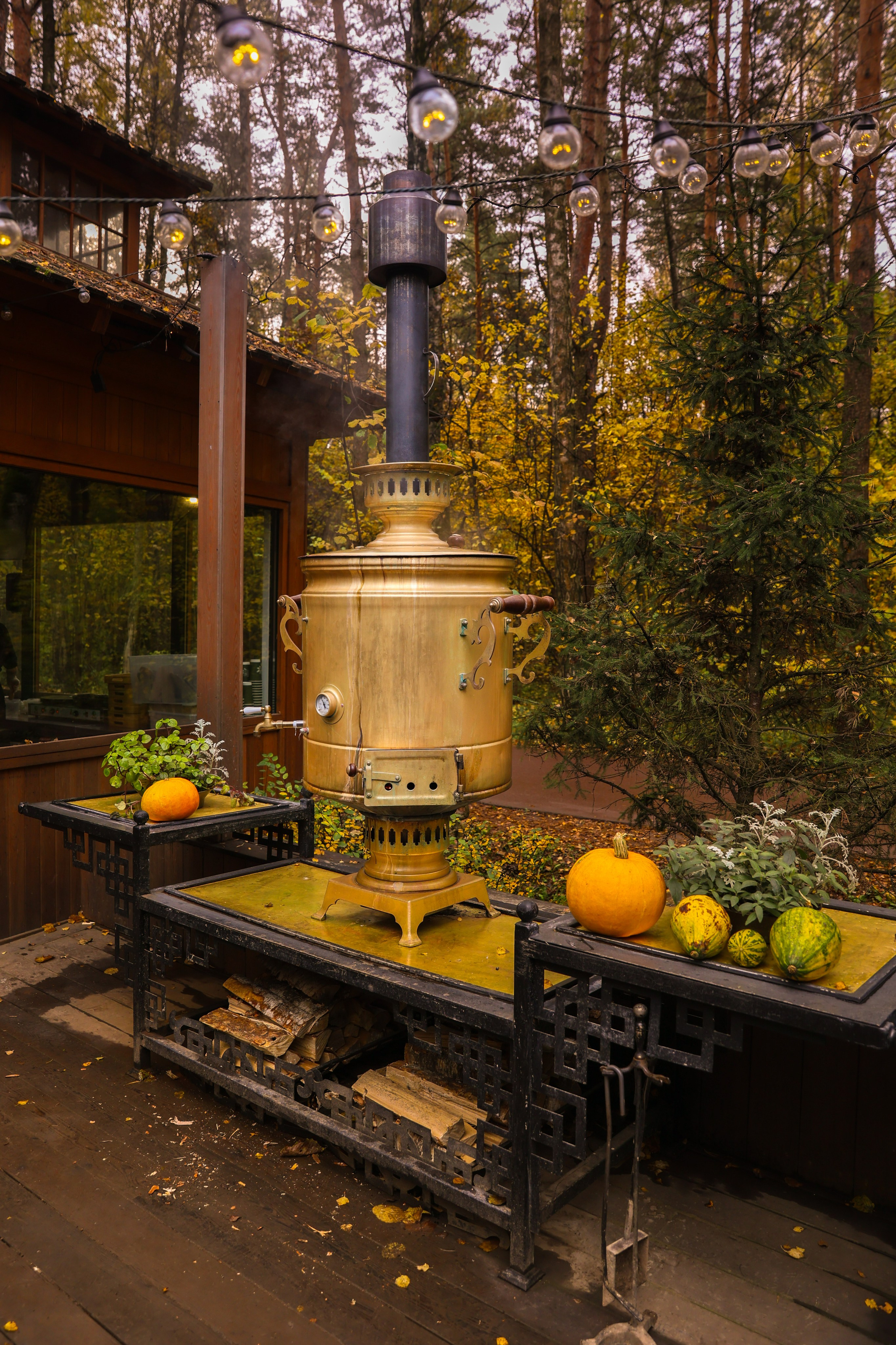 В Мещерском. Свадебный и семейный фотограф Москва и Московская область