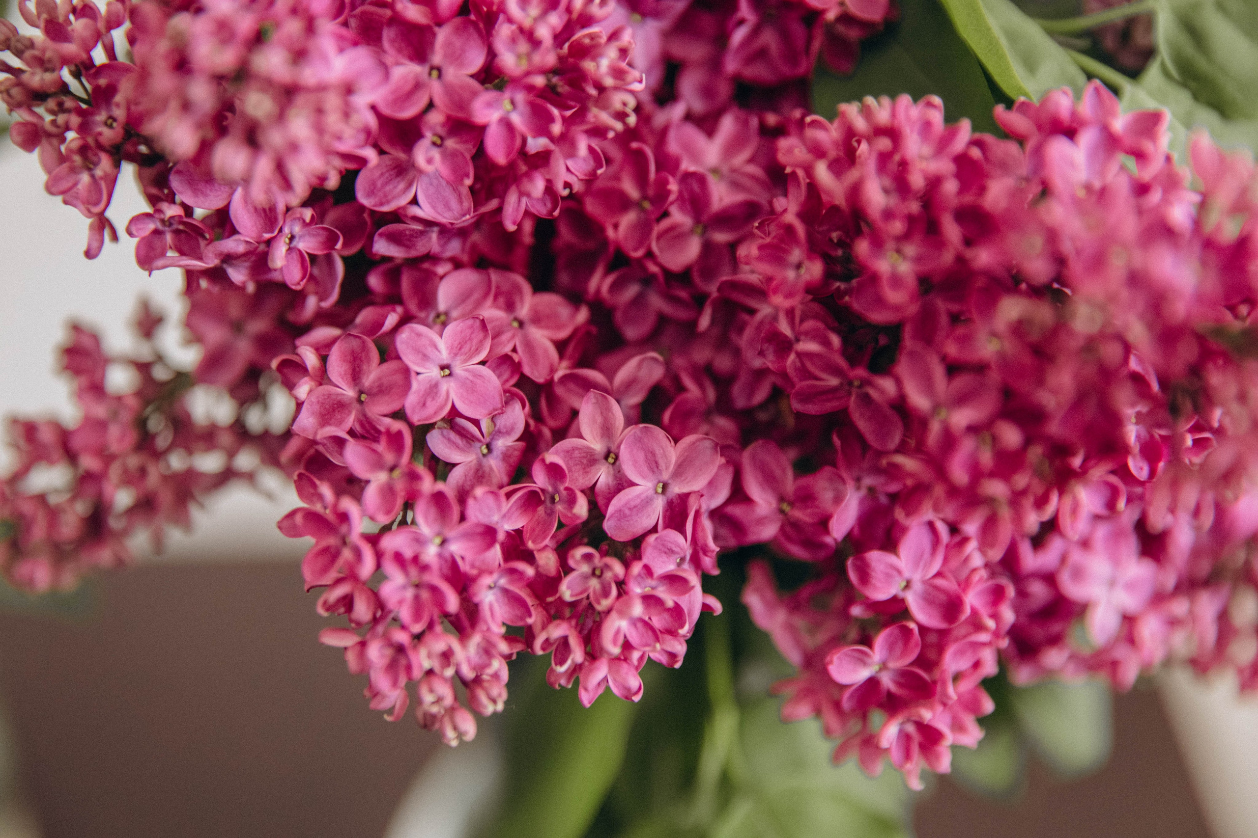 Семья Маркунасовых. Семейный фотограф, фотограф новорожденных в Москве, Анастасия Федяева
