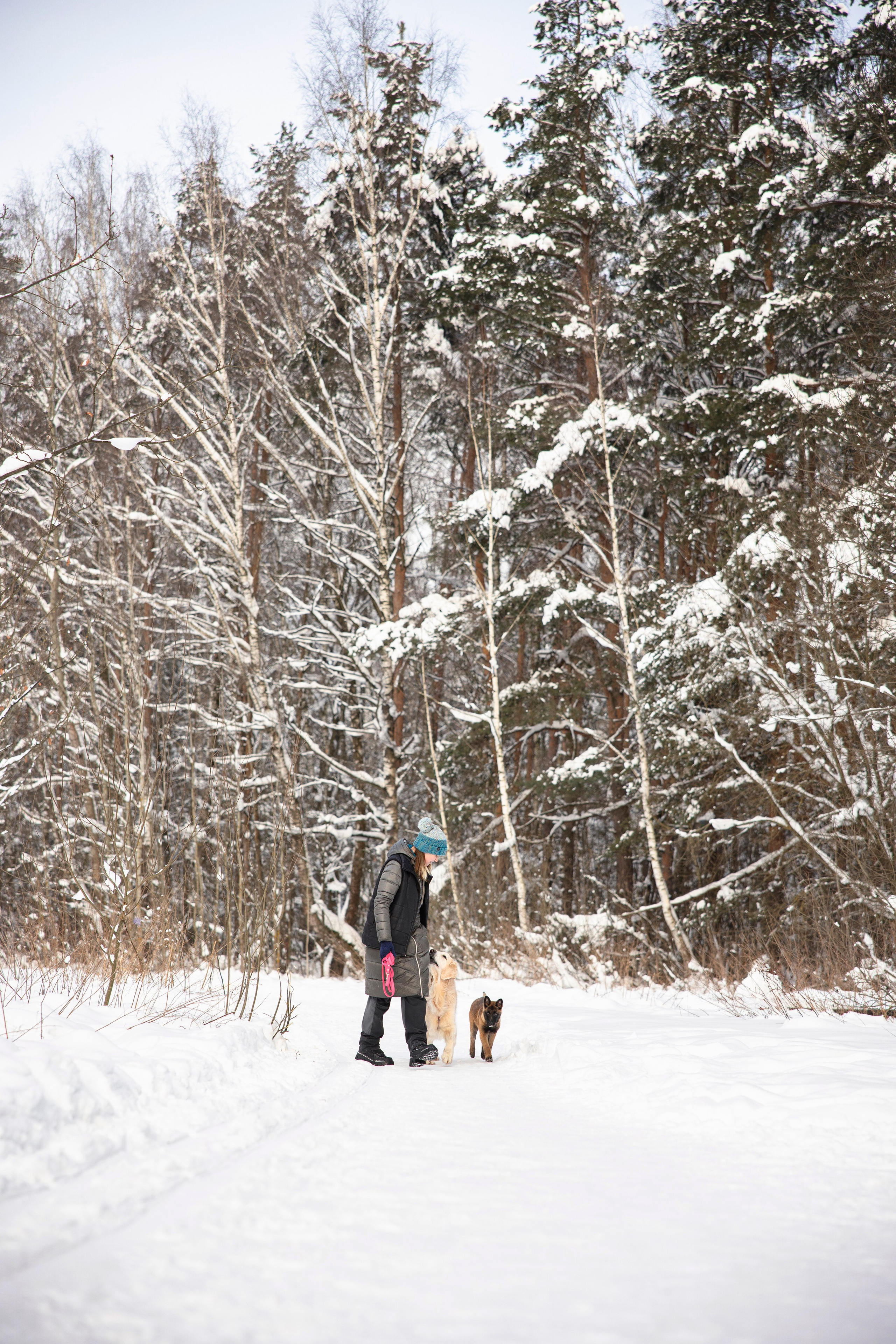 Бэлла и Панда. Анастасия Белаш