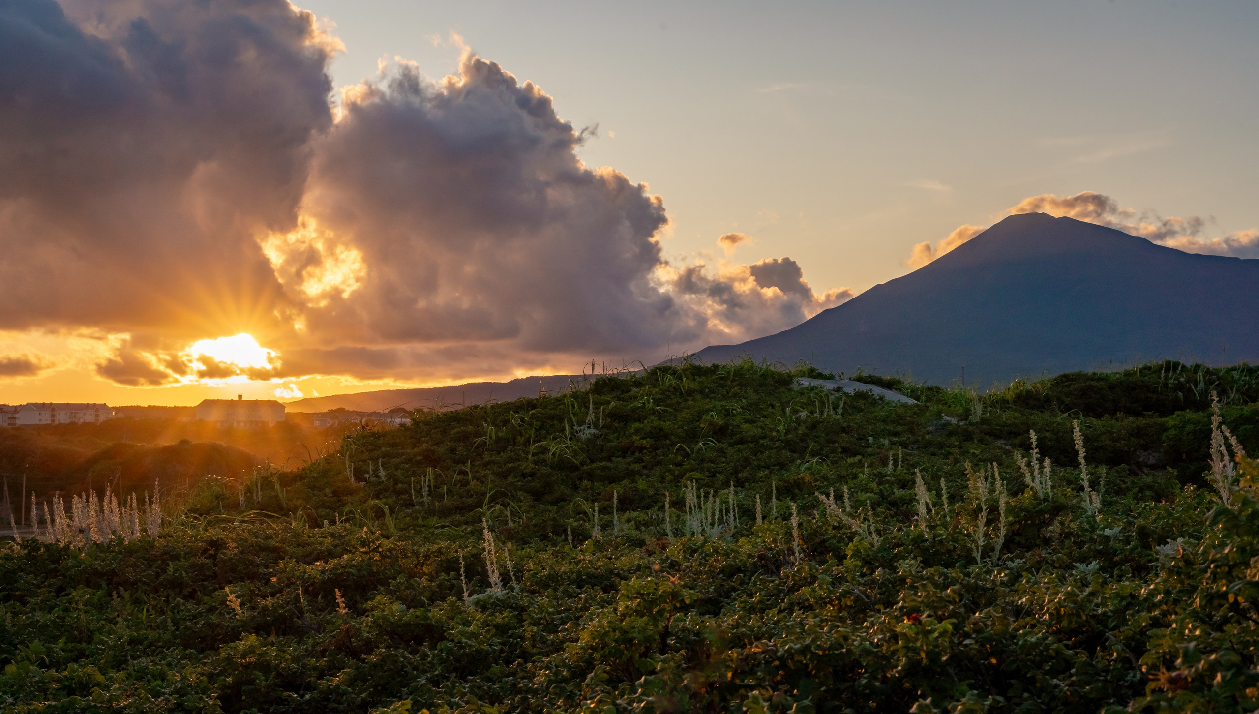 Итуруп. Семейный фотограф Варвара Сорока в городе Москве