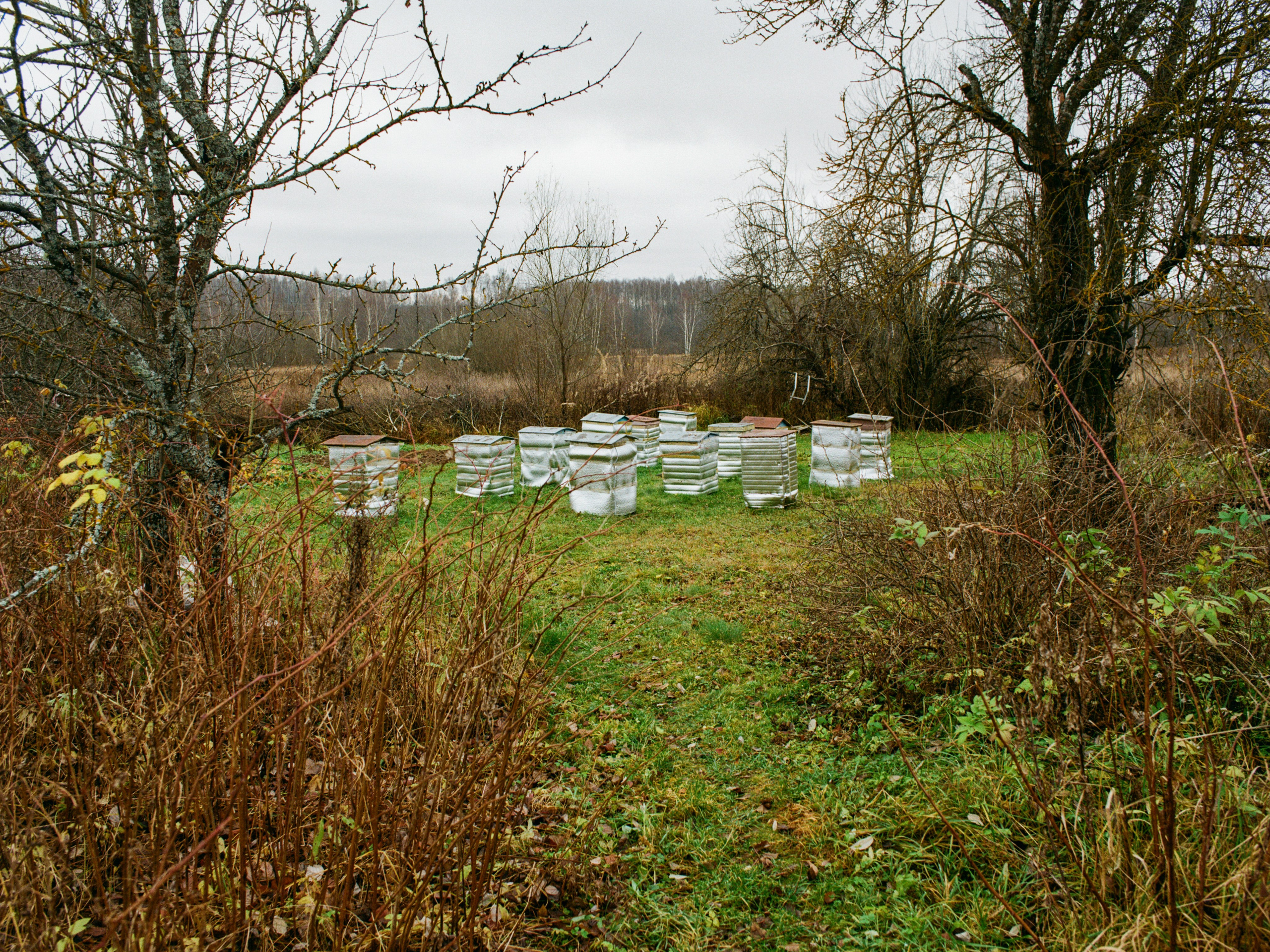 Roadtrip. Maria Abdullaeva