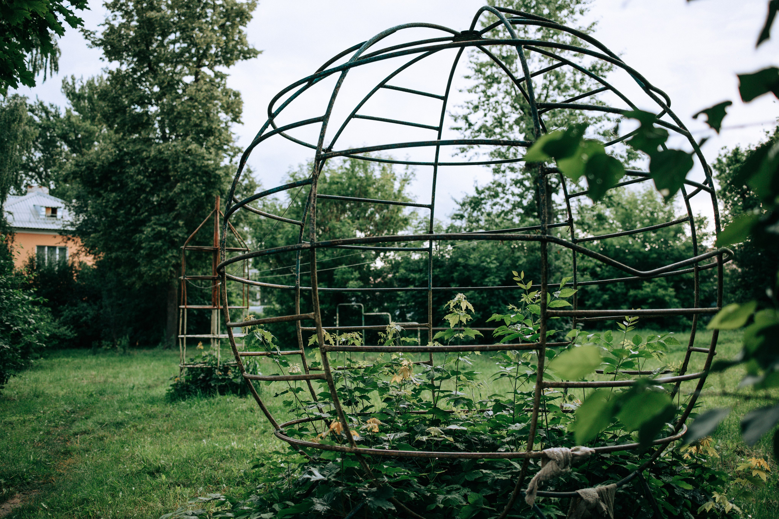 Дождливое лето. Свадебный и семейный фотограф в Туле и области Маша Костина
